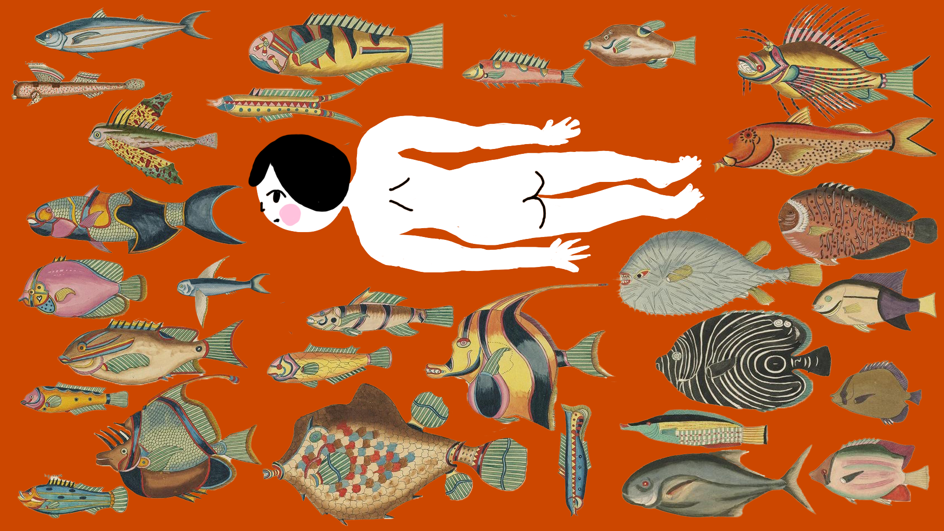 Collage with Images from the First Colour Publication on Fish (1754) by Louis Renard