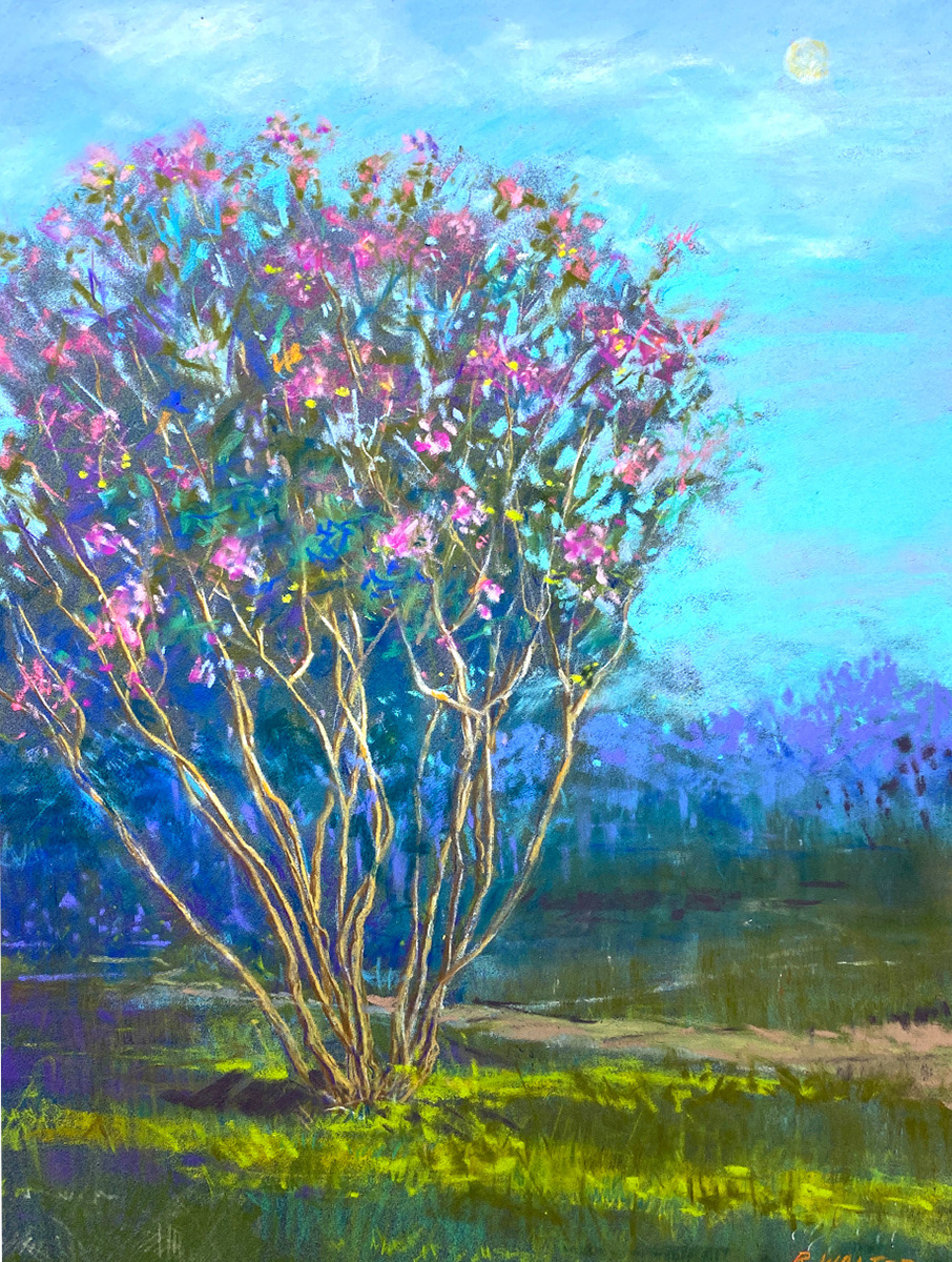Crepe Myrtle bloom