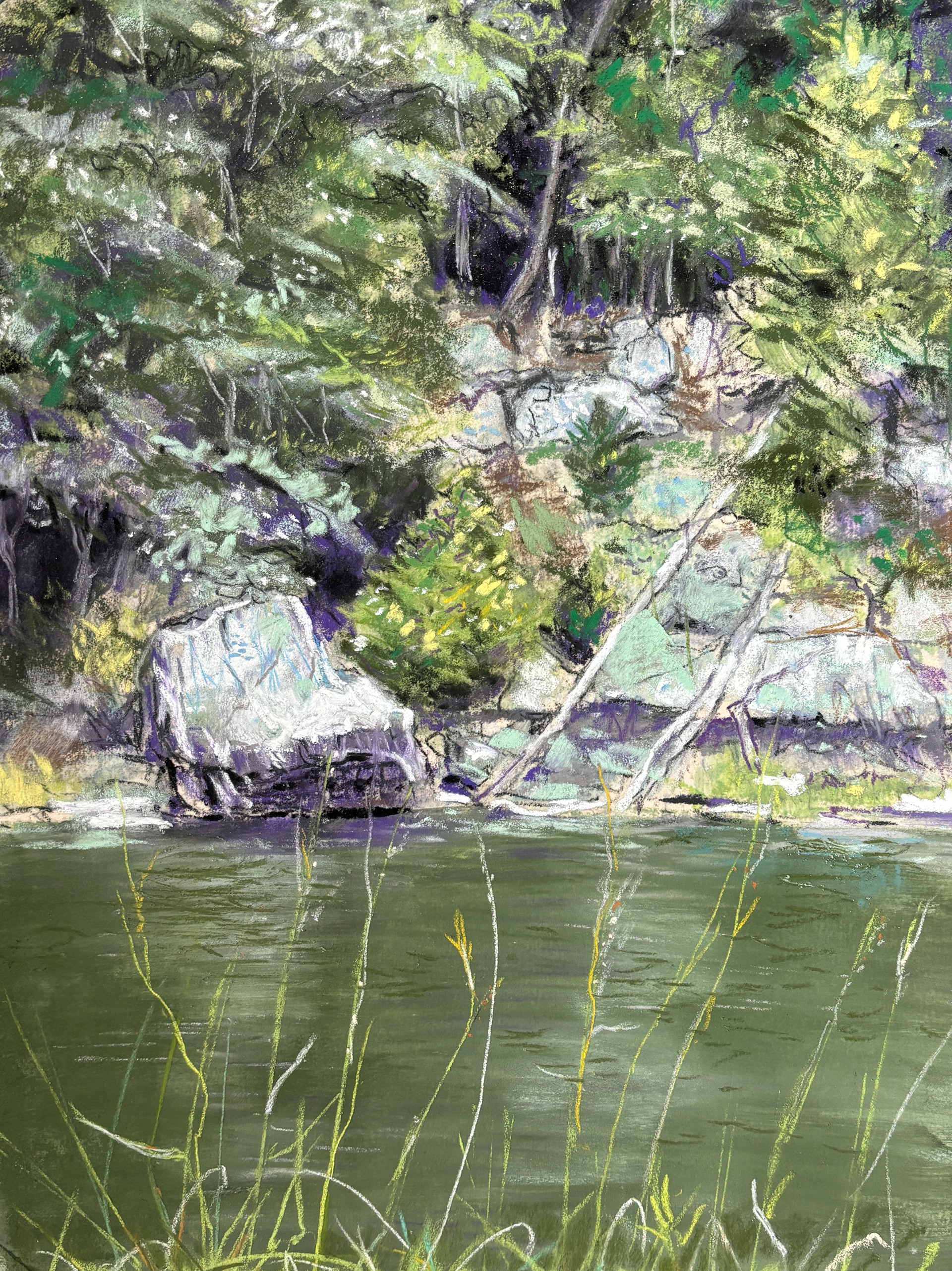 Canal Summer Greens