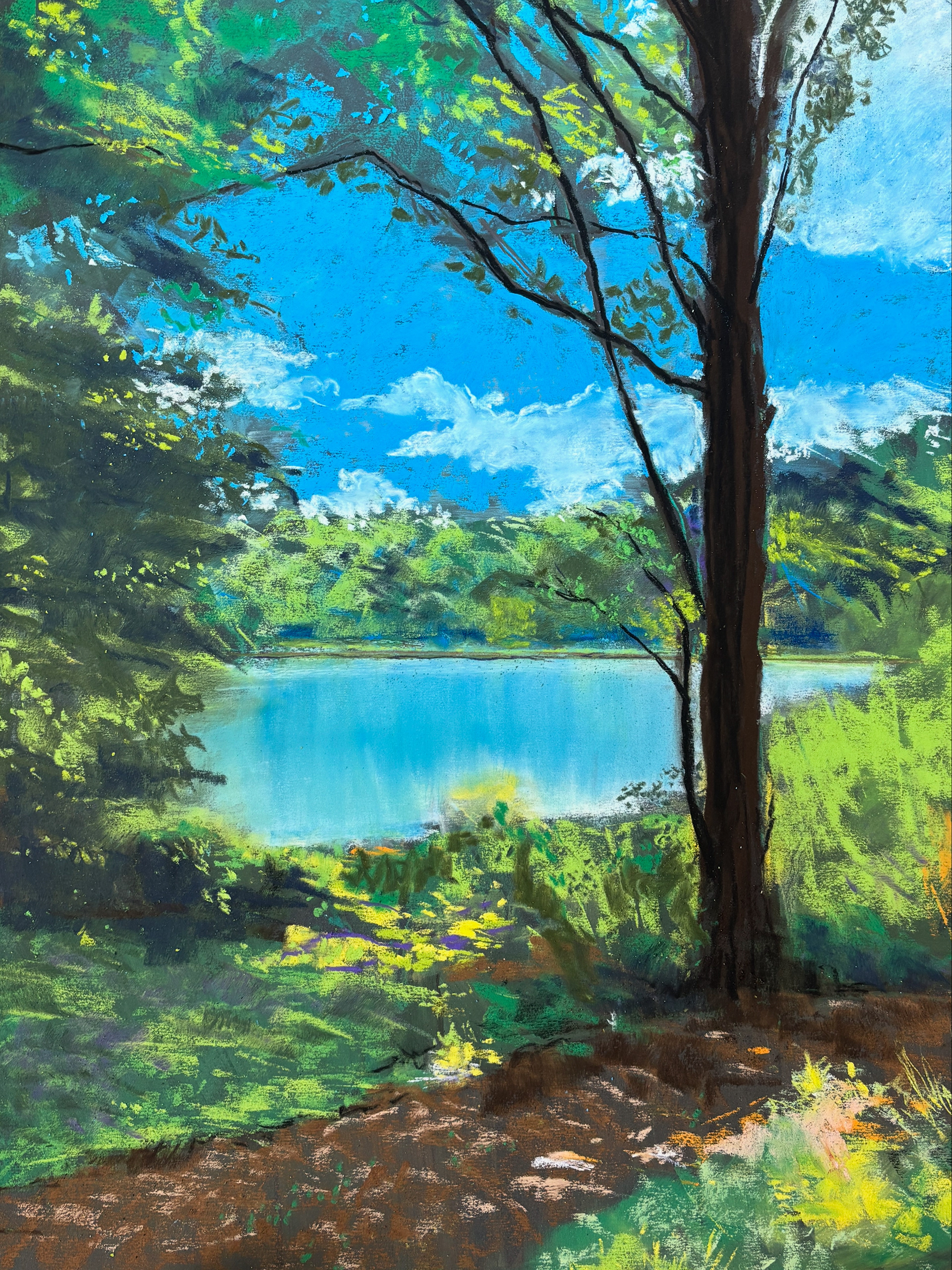 Late Summer Lake Trail