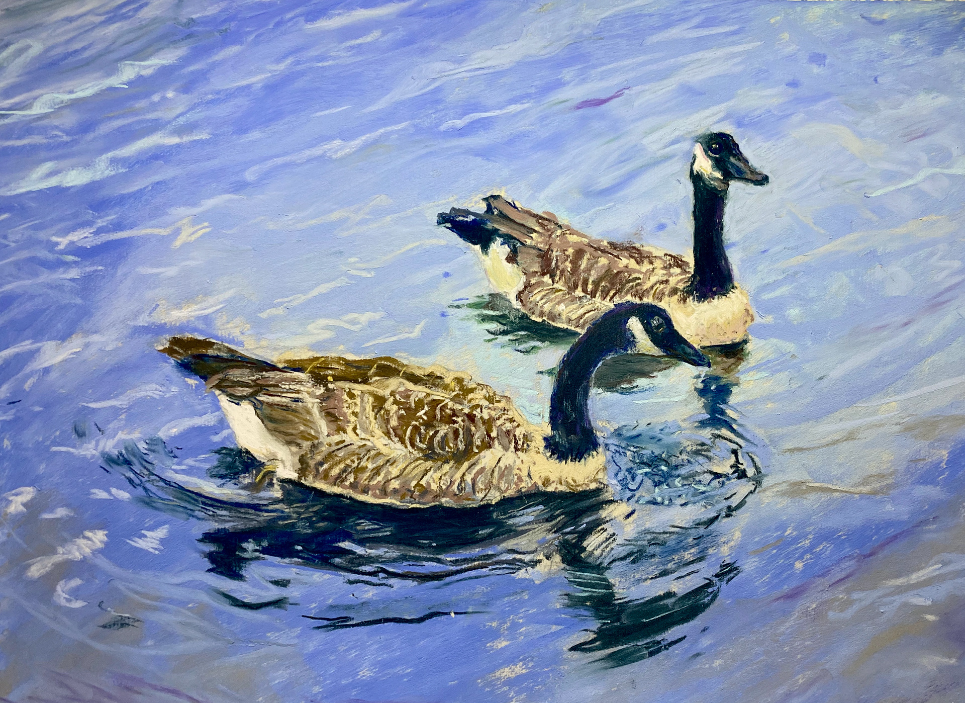 Goose friends