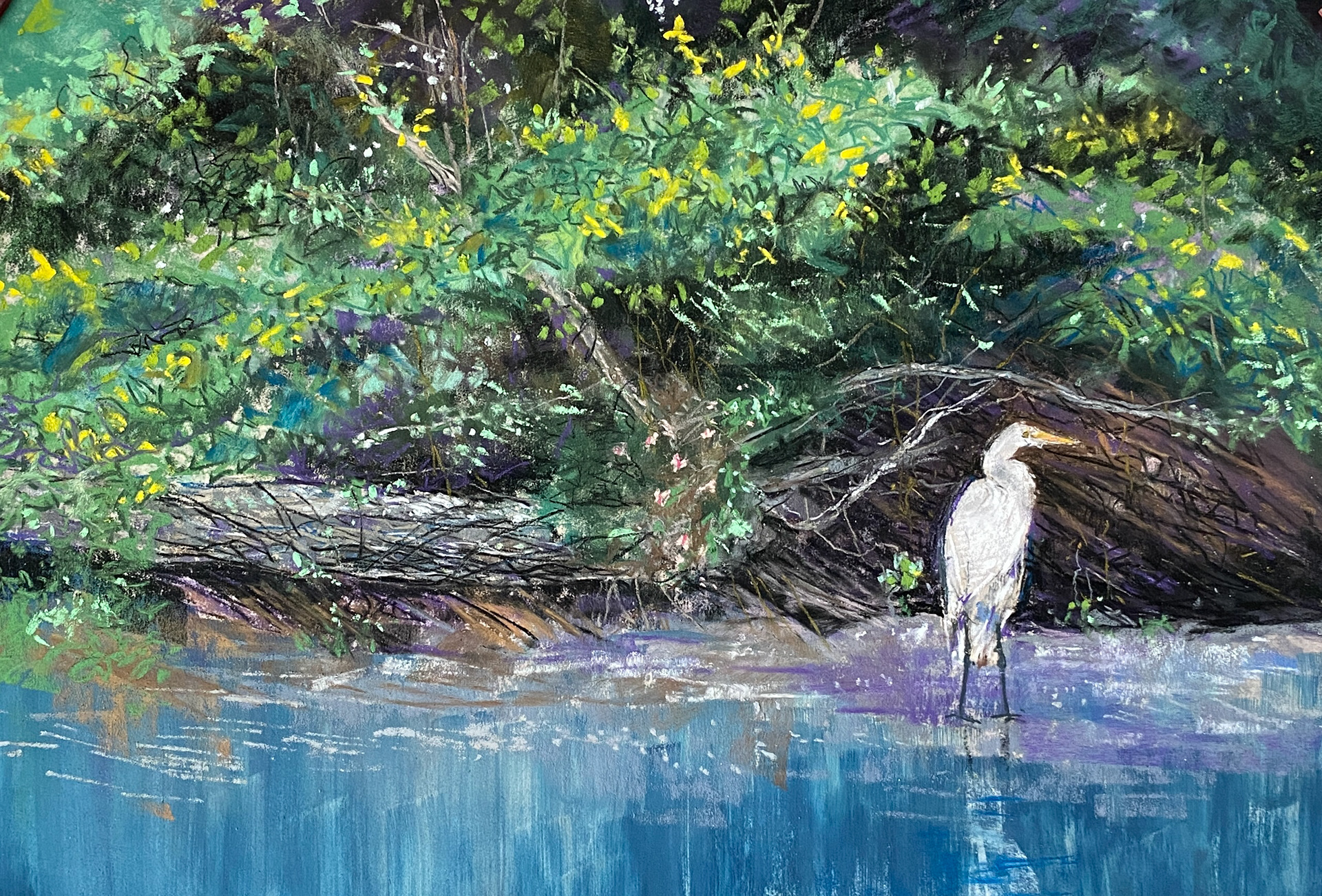Egrets favorite spot