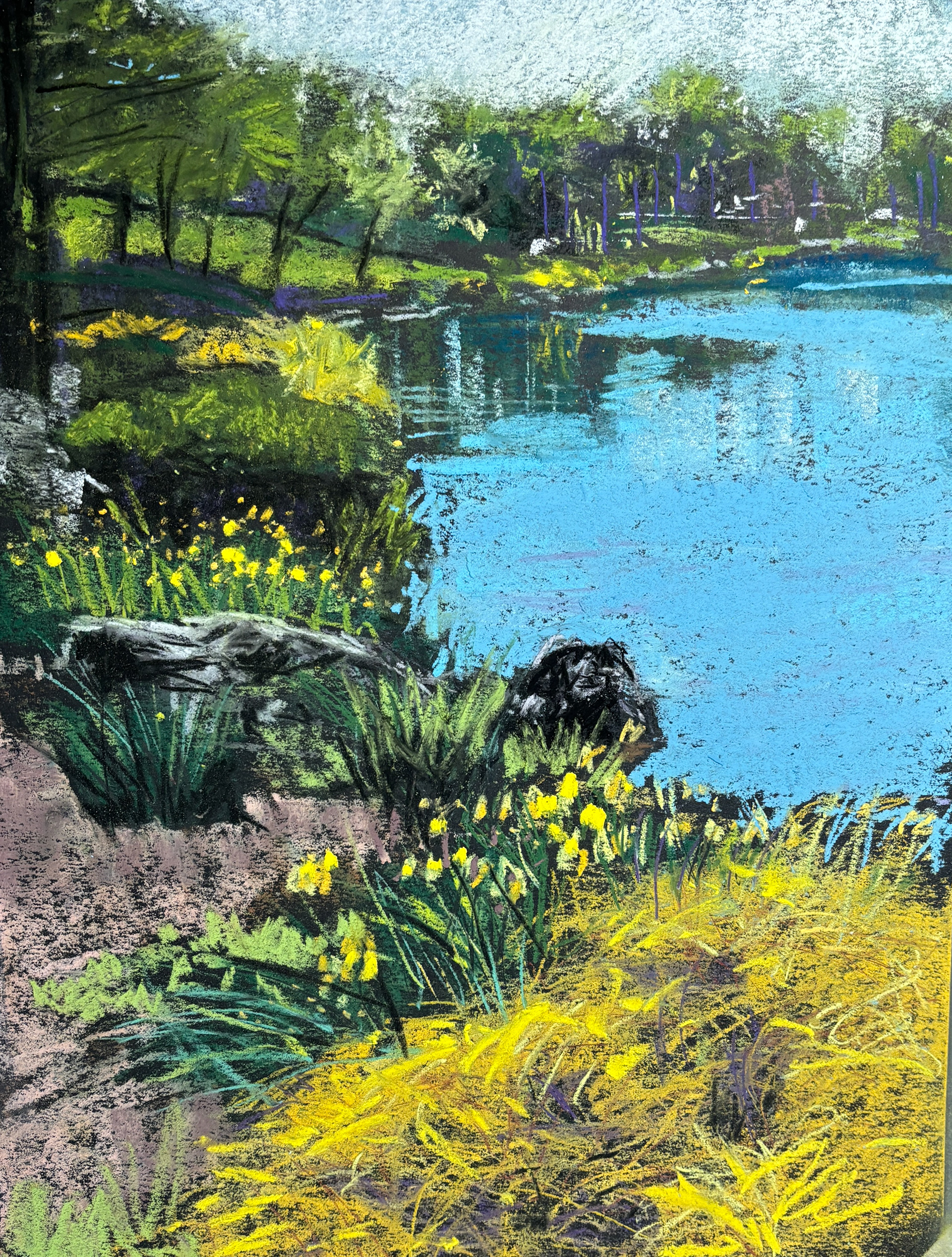 Spring Lake