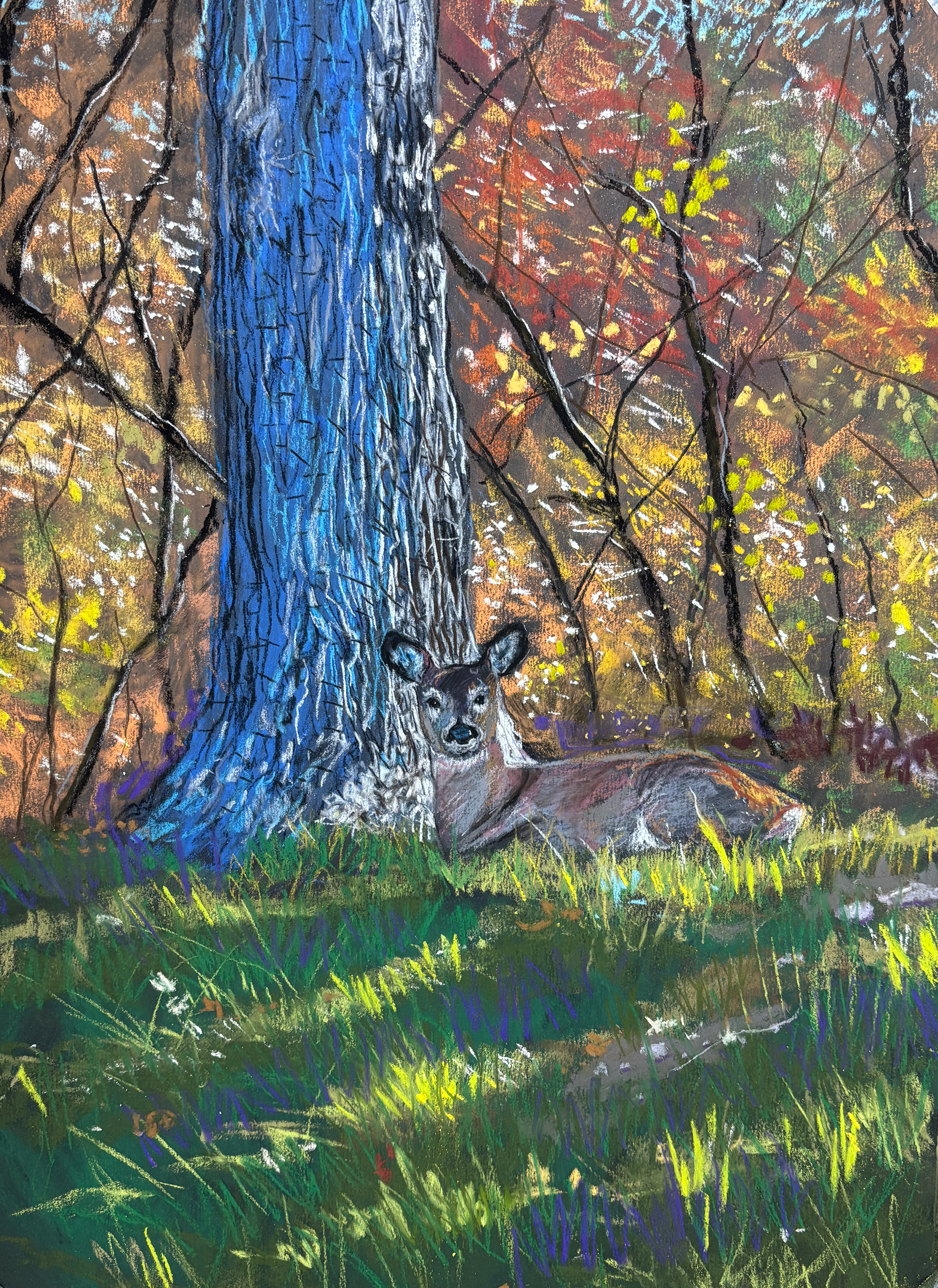Autumn Morning juried into South Carolina Light & Luminosity Exhibition 2025