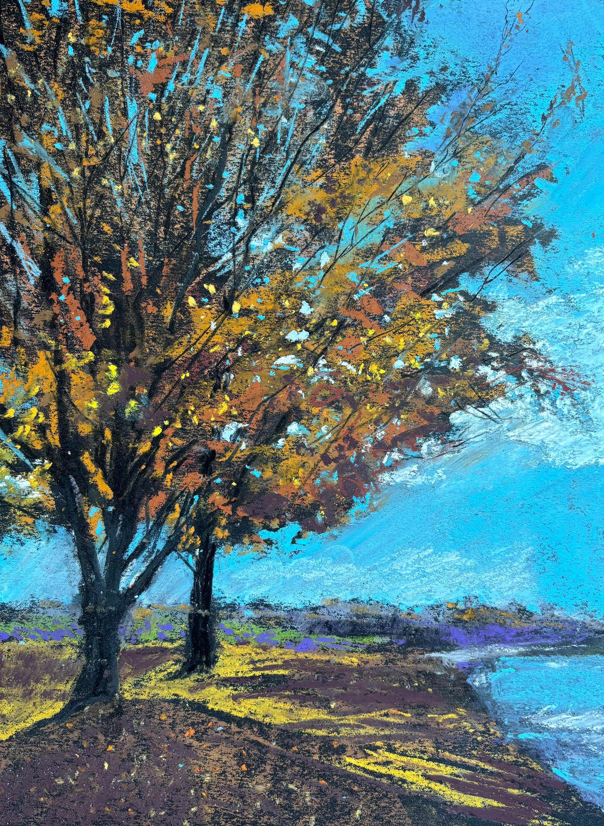 Autumn's Beauty