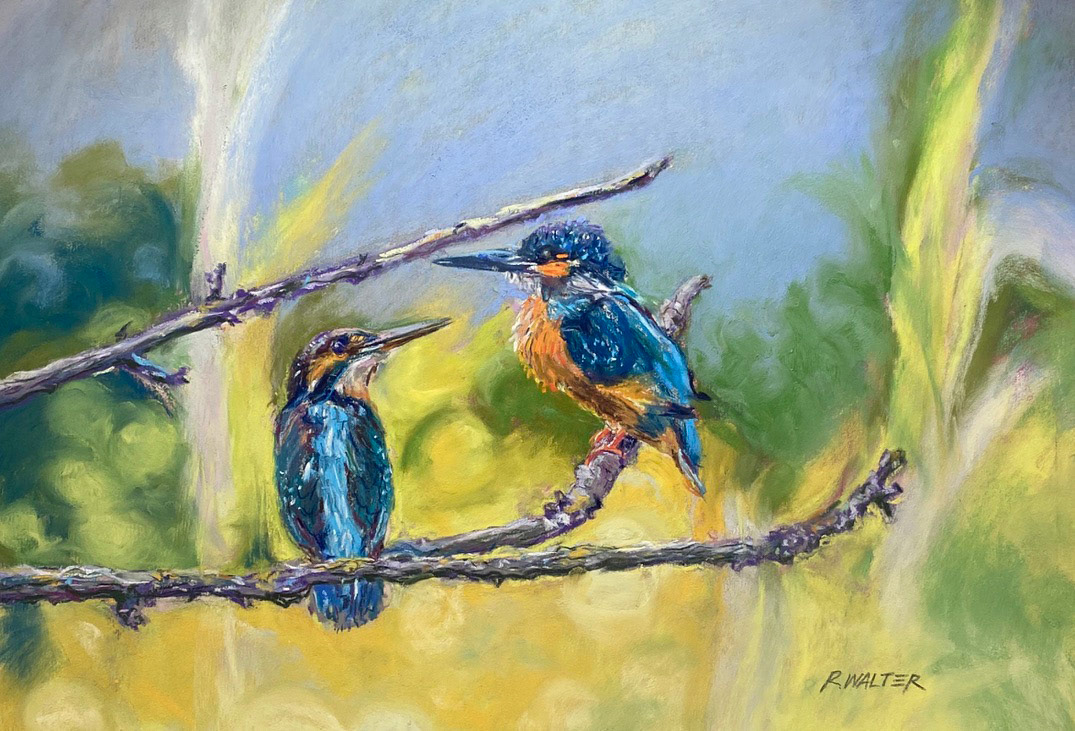 Kingfishers hanging out