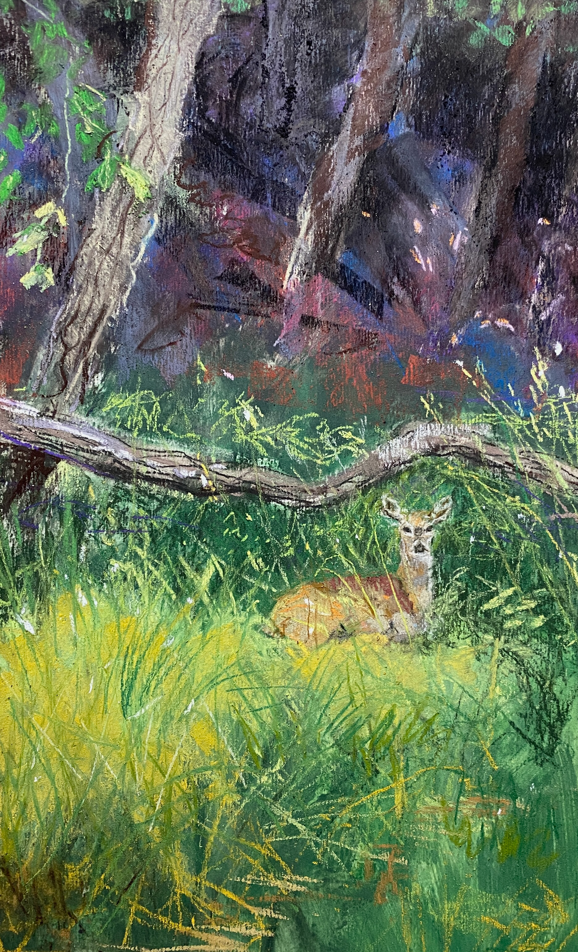 Resting place