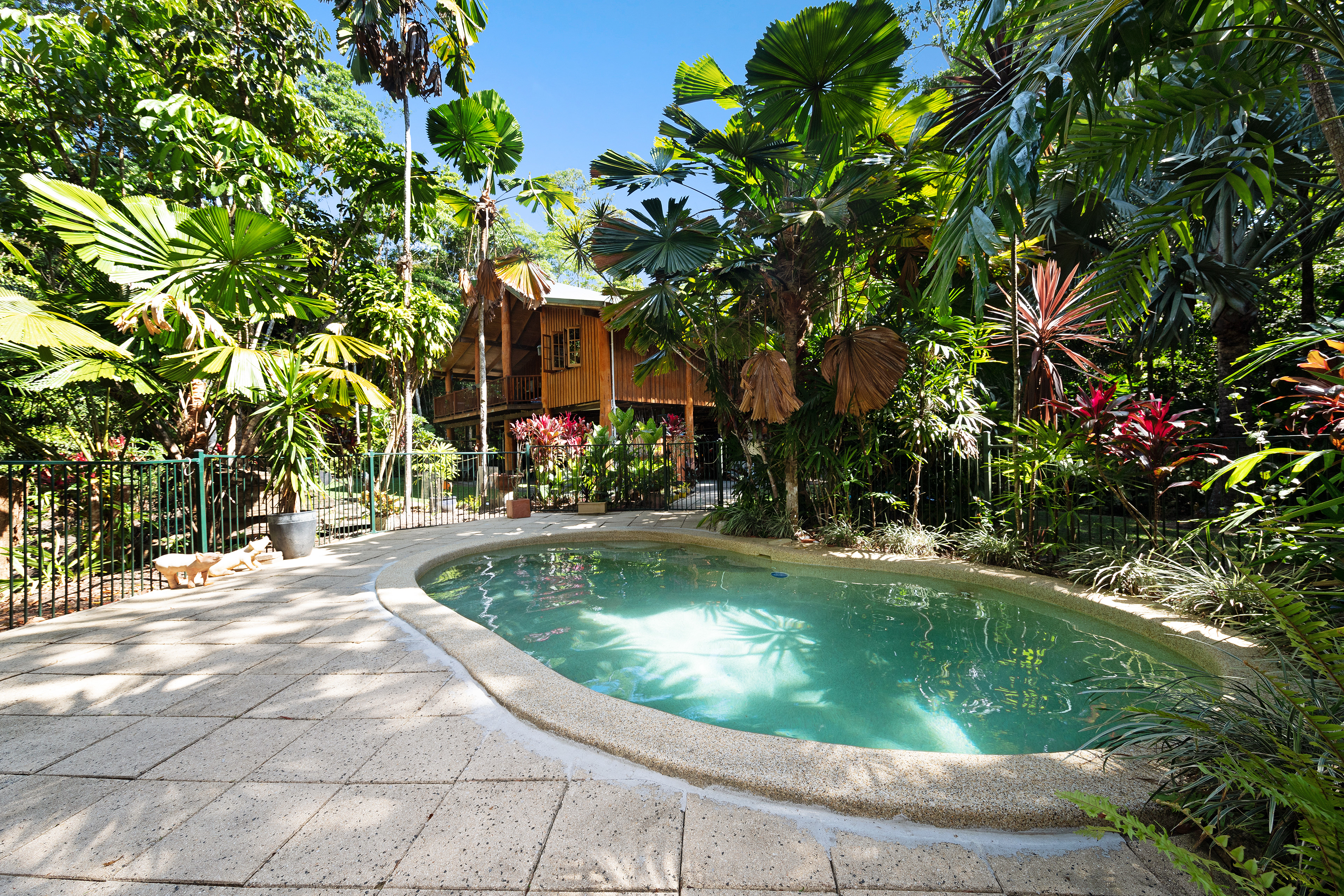 Rain Forest location