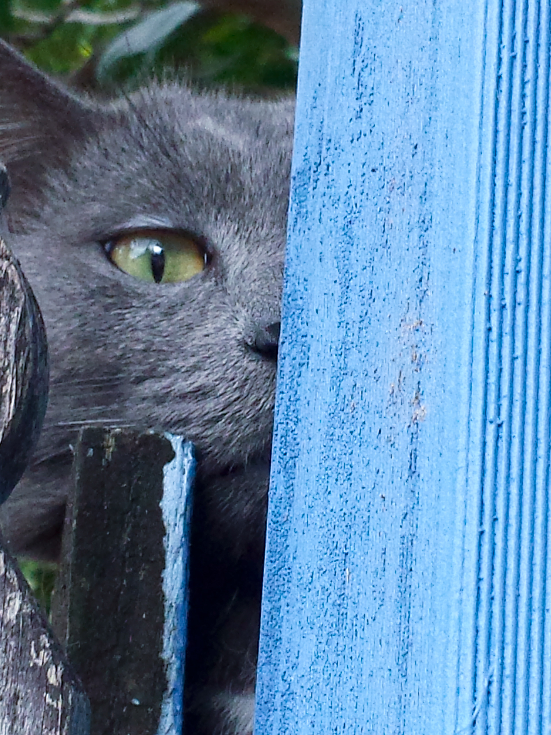 Phone Photo supplied Edit 1