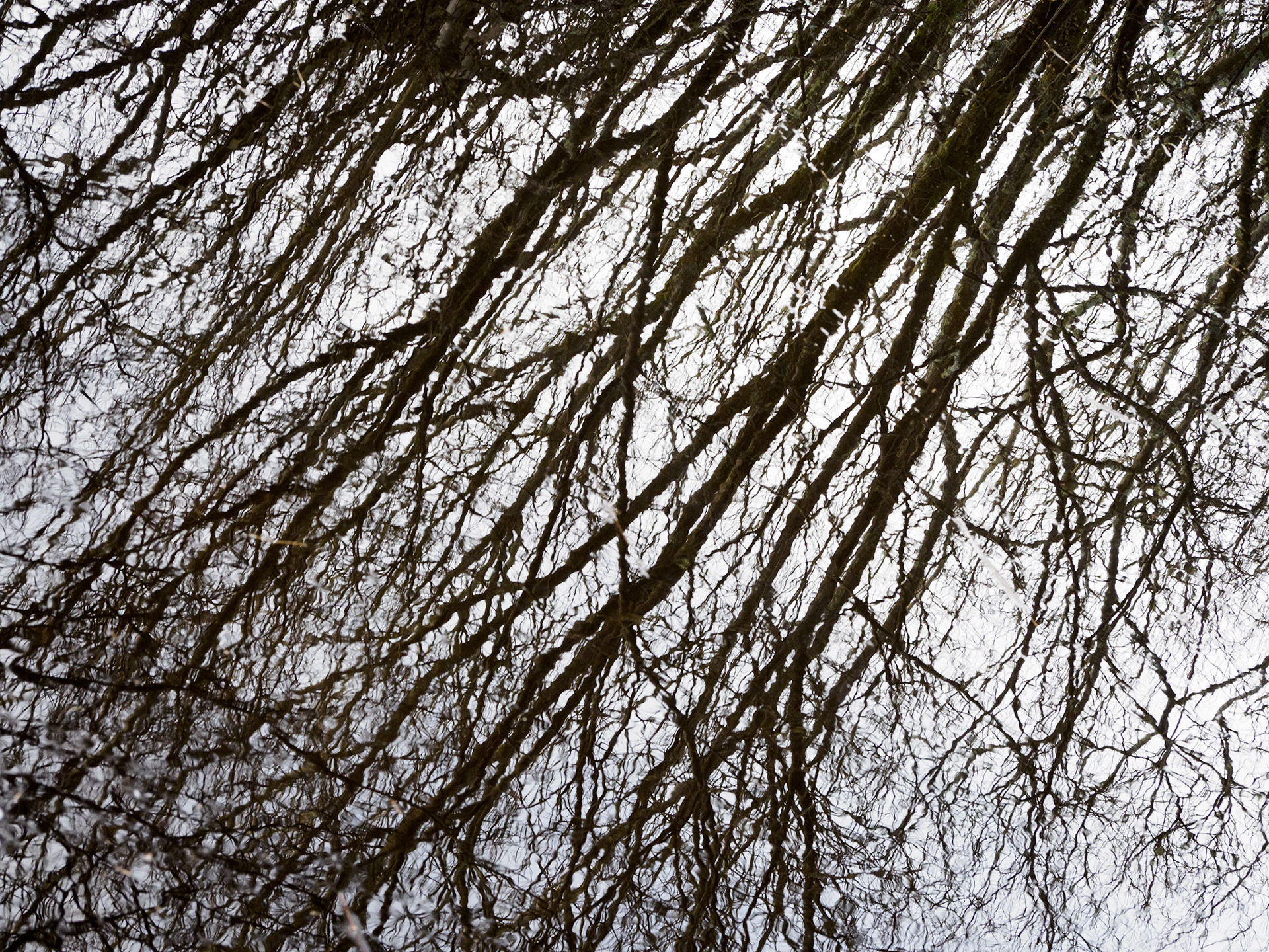 Calderwood in February