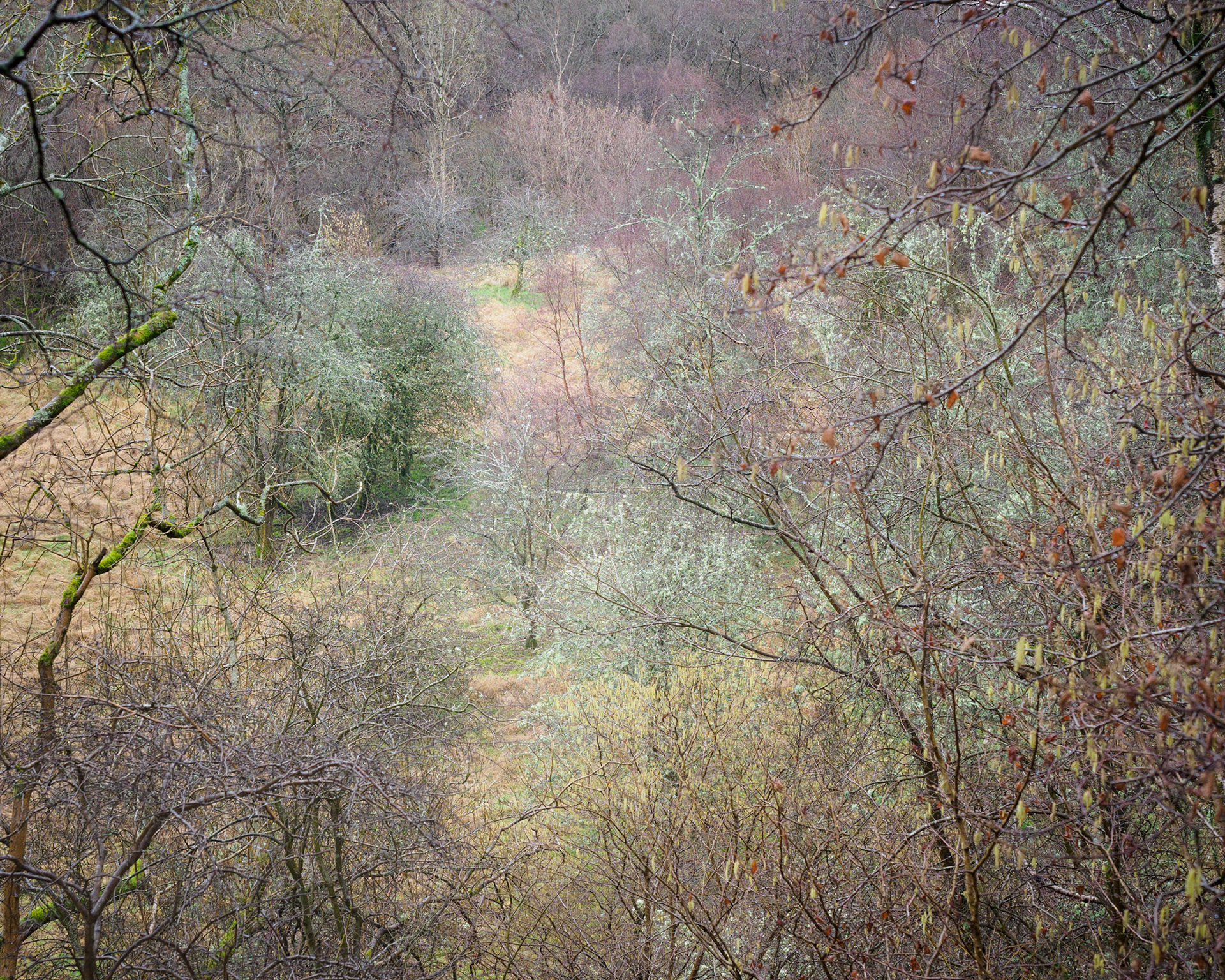 Calderwood in February