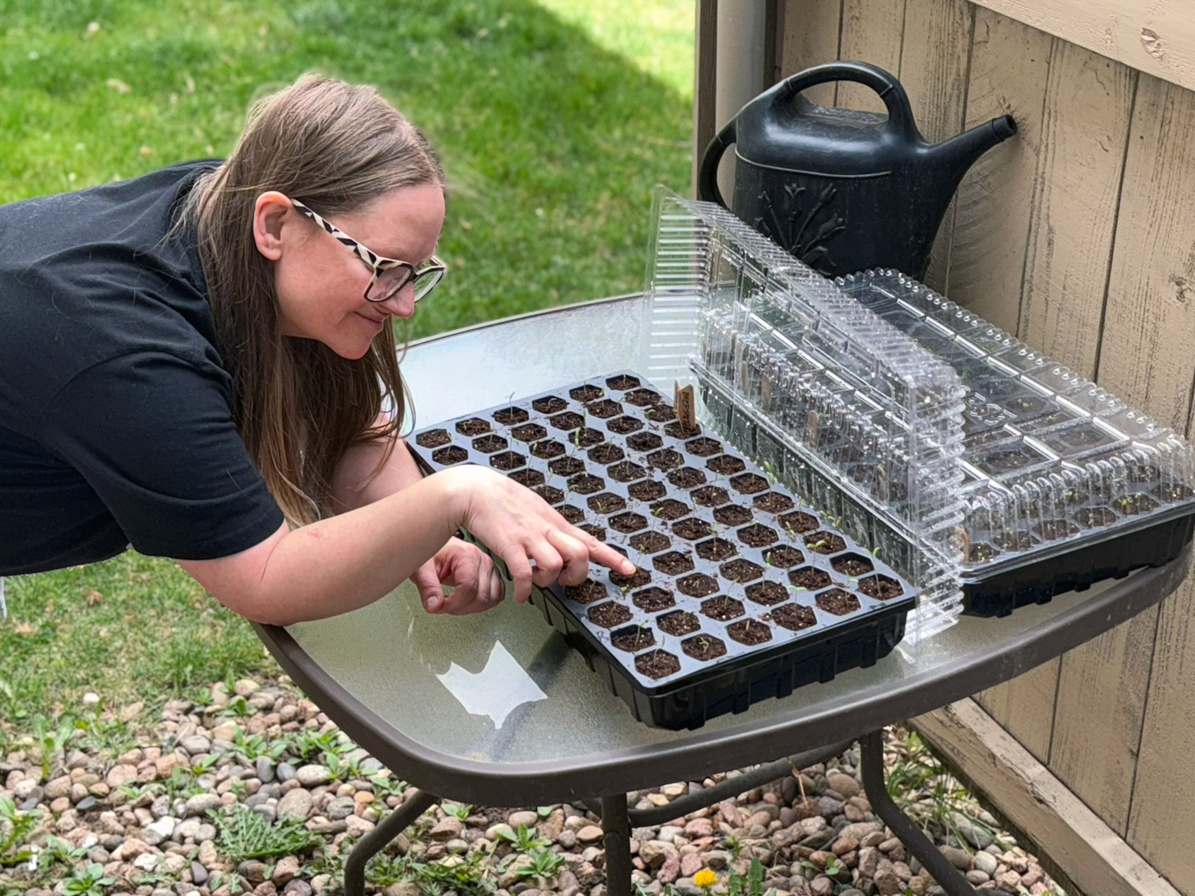 Ferry Morse seedling trays