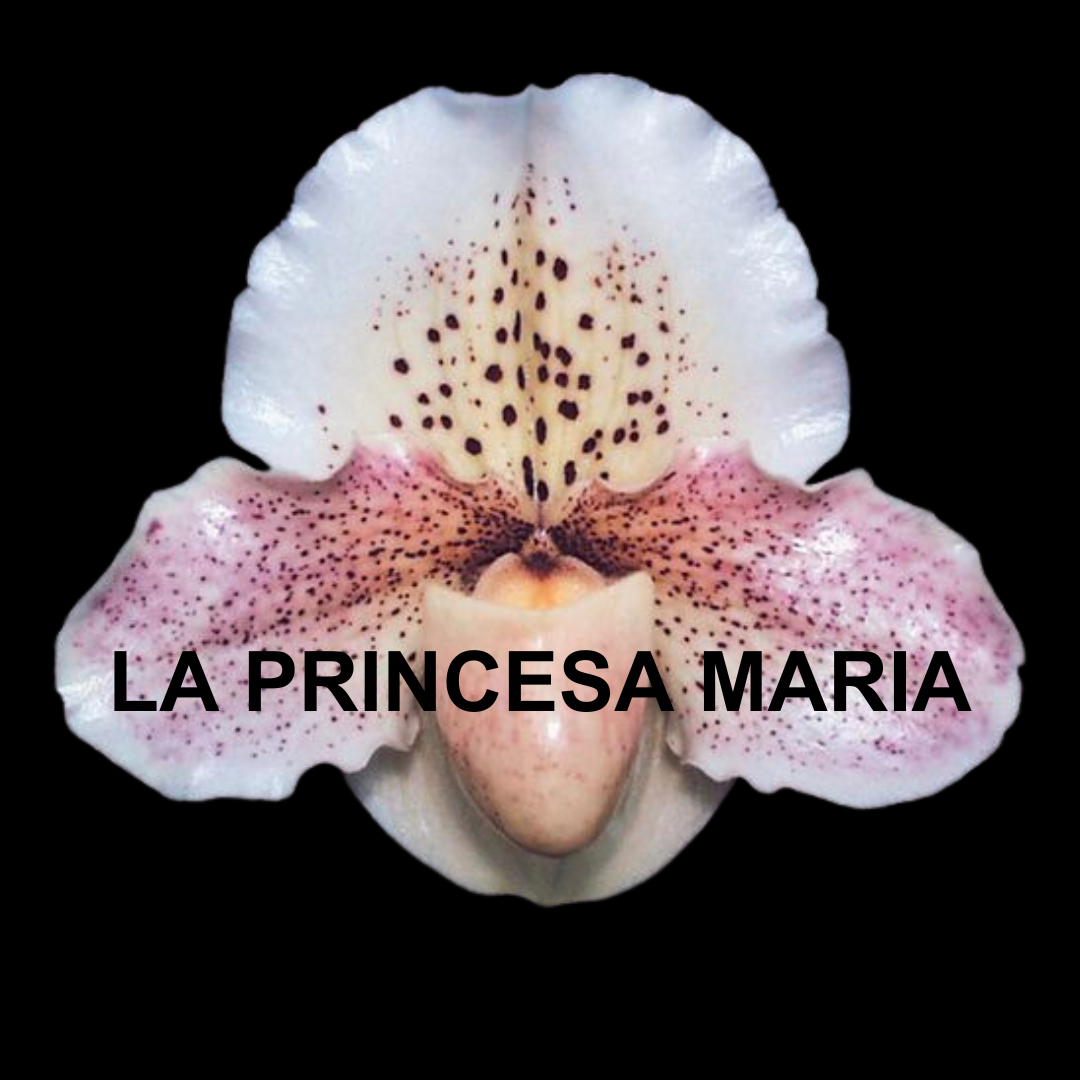 La Princesa Maria