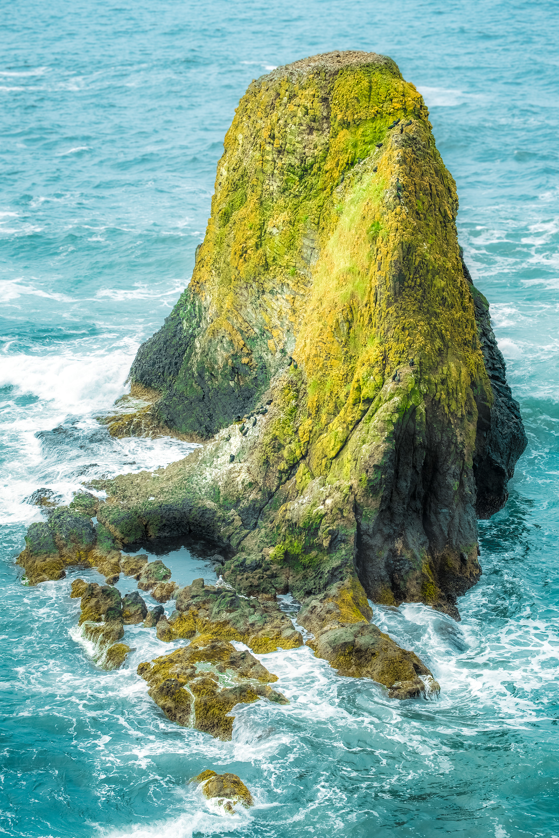 Moss Island