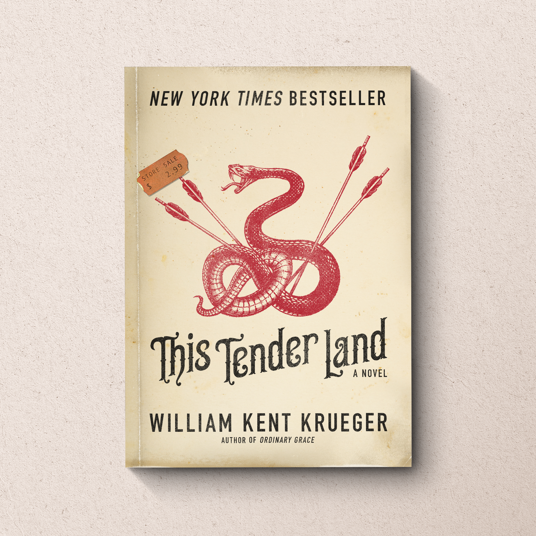 book cover series / this tender land