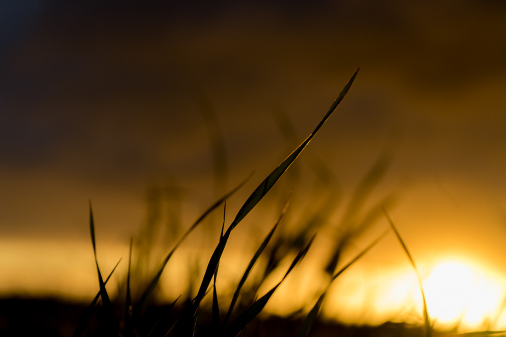 Golden Hour