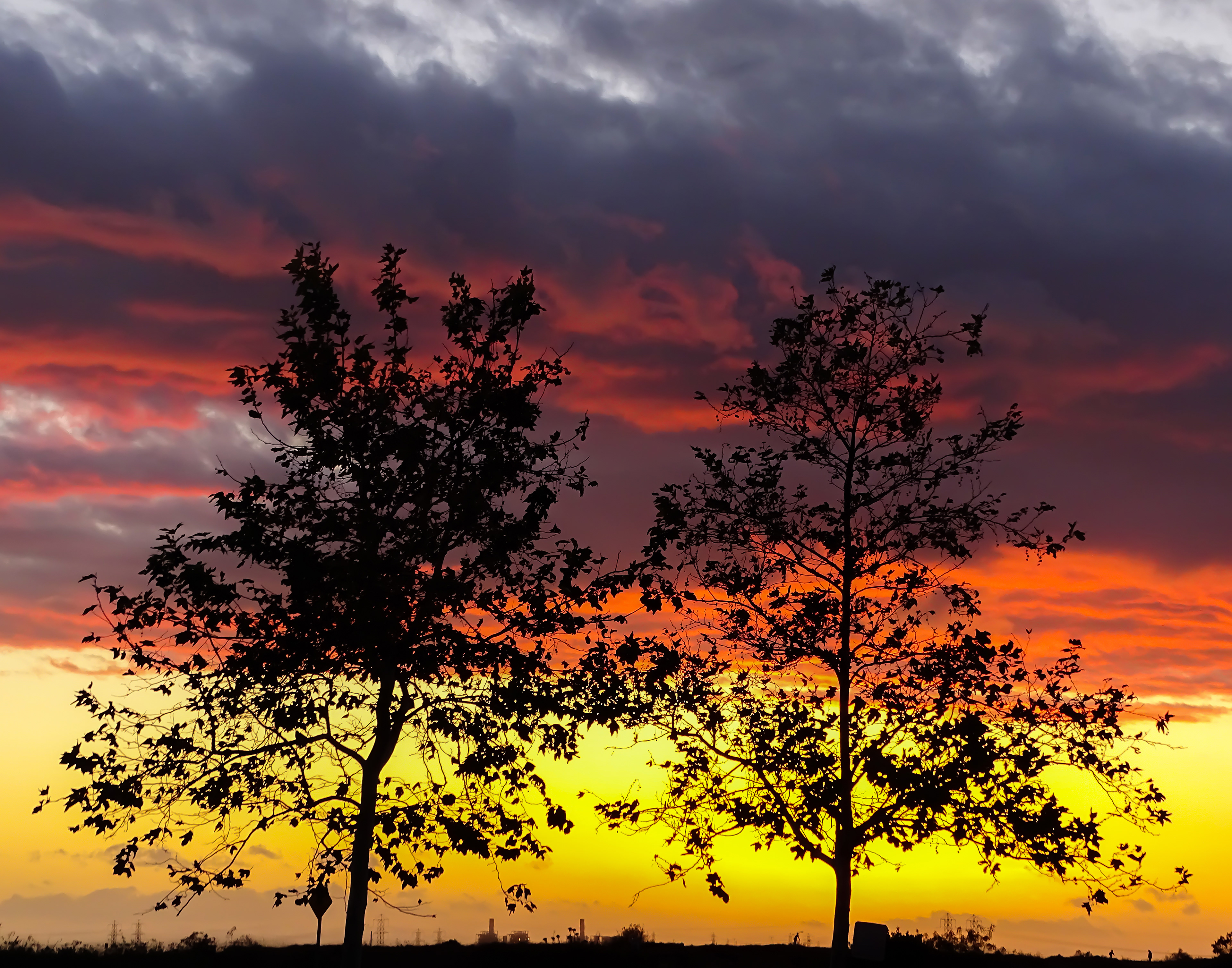 Autumn Sky