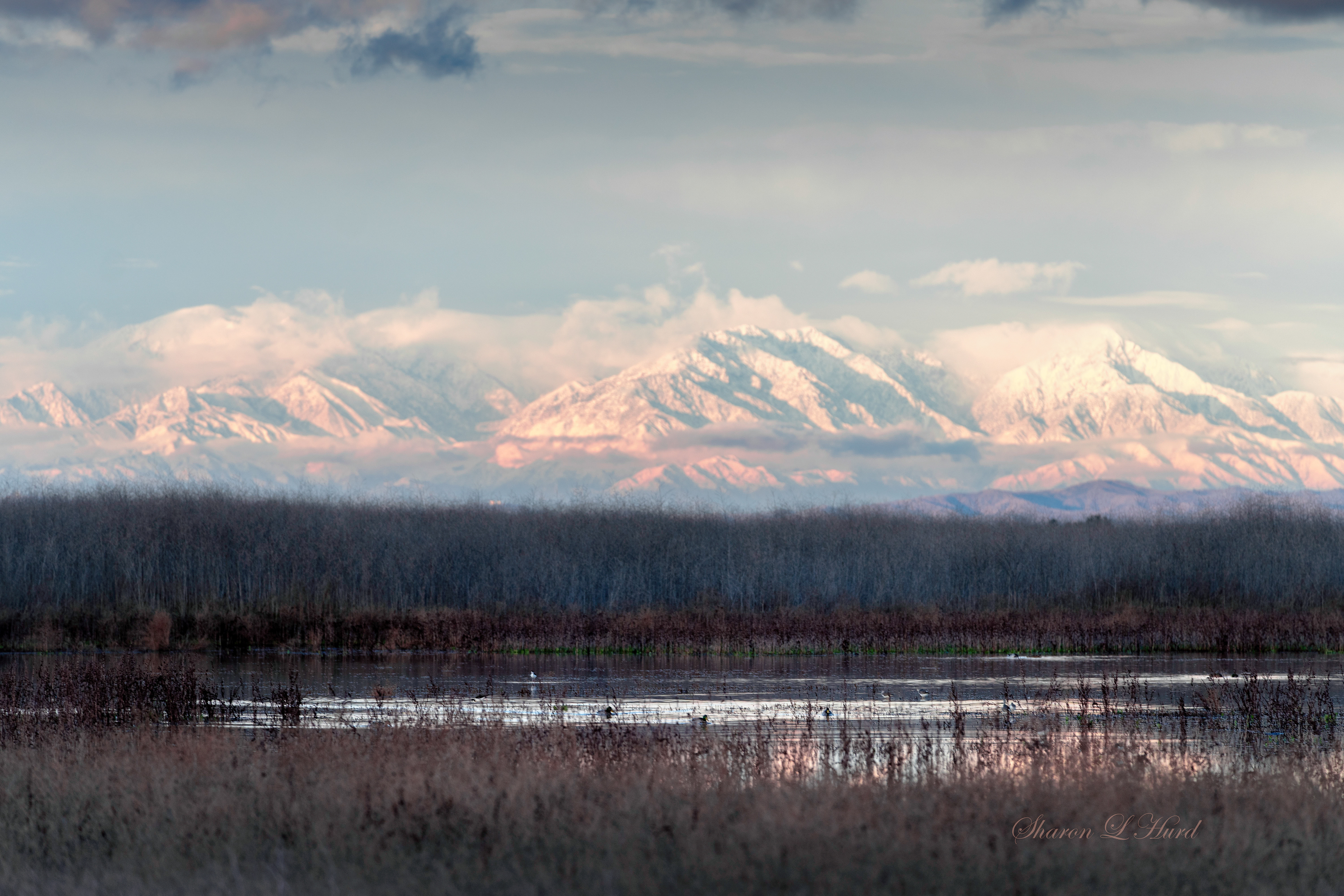 Snow Capped Mountain and Vernal Pool During Sunset