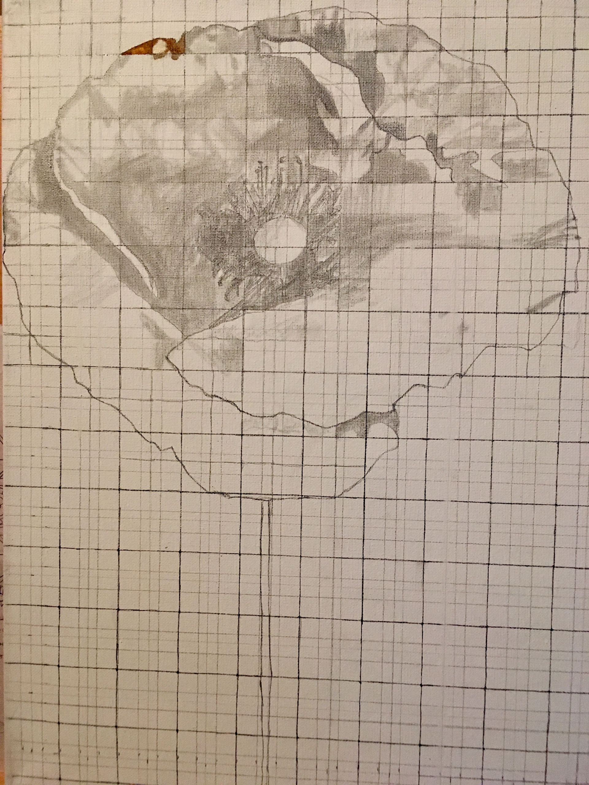 Creating the underpainting