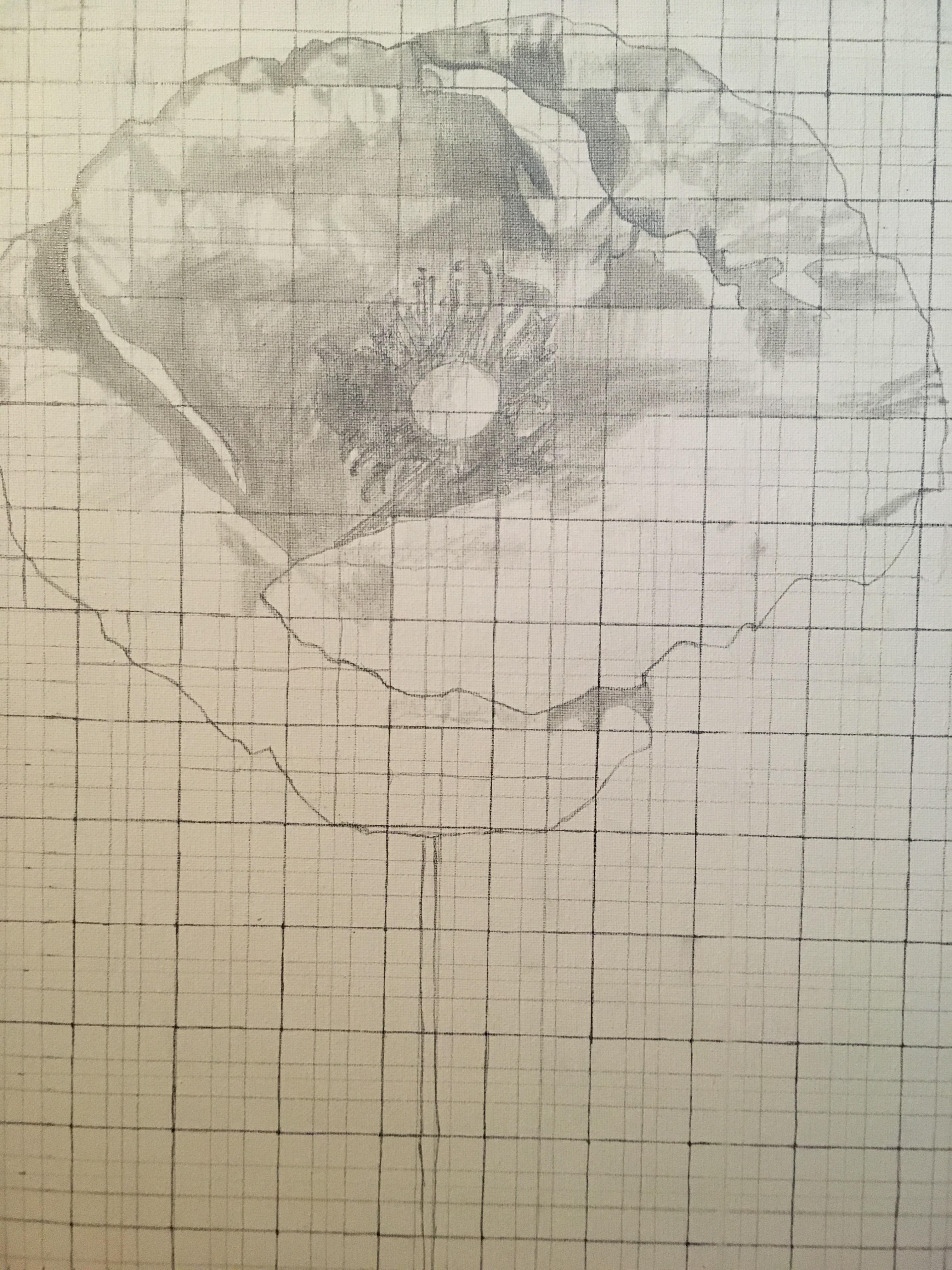 Placing down the first lines.