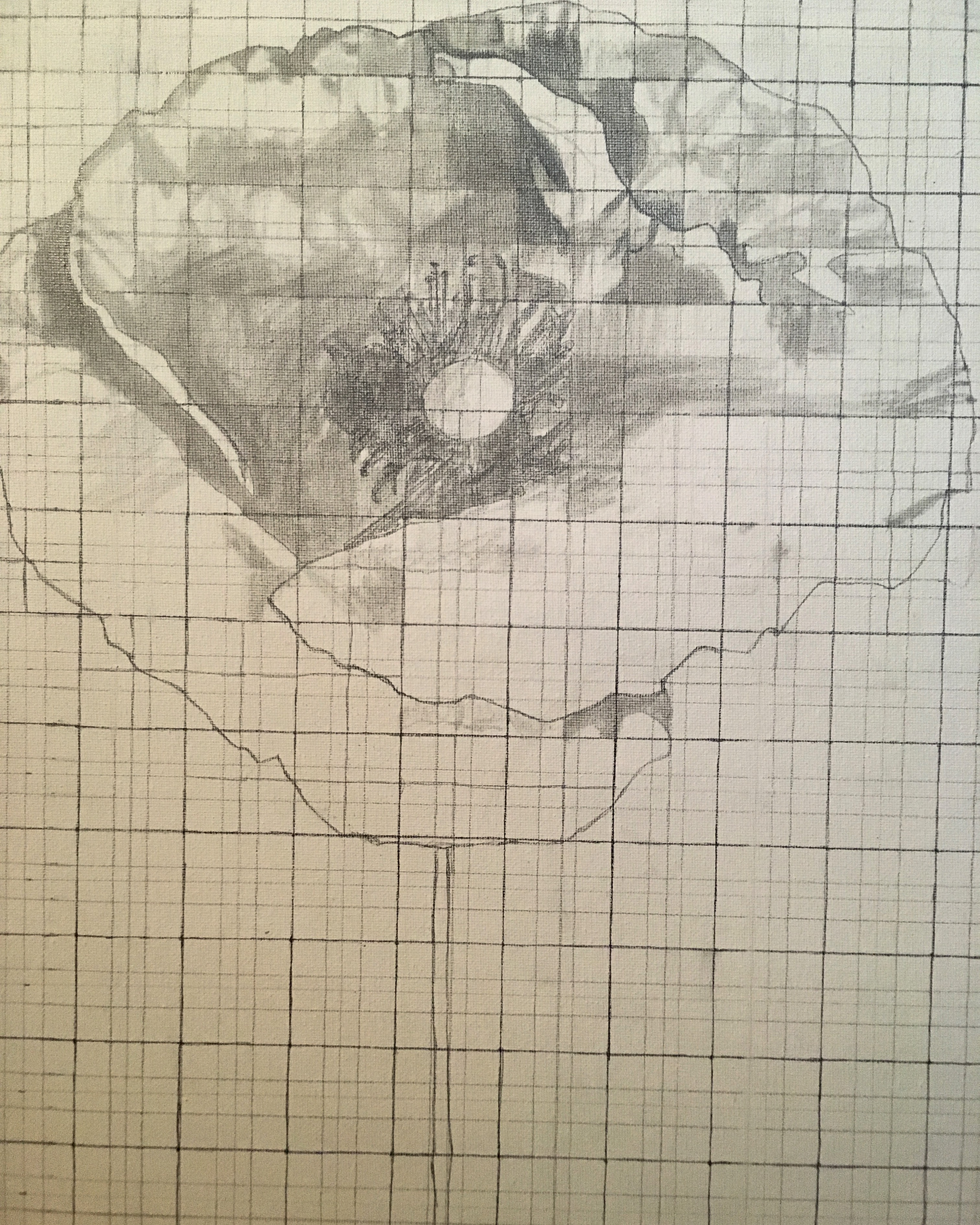 Adding some shadows
