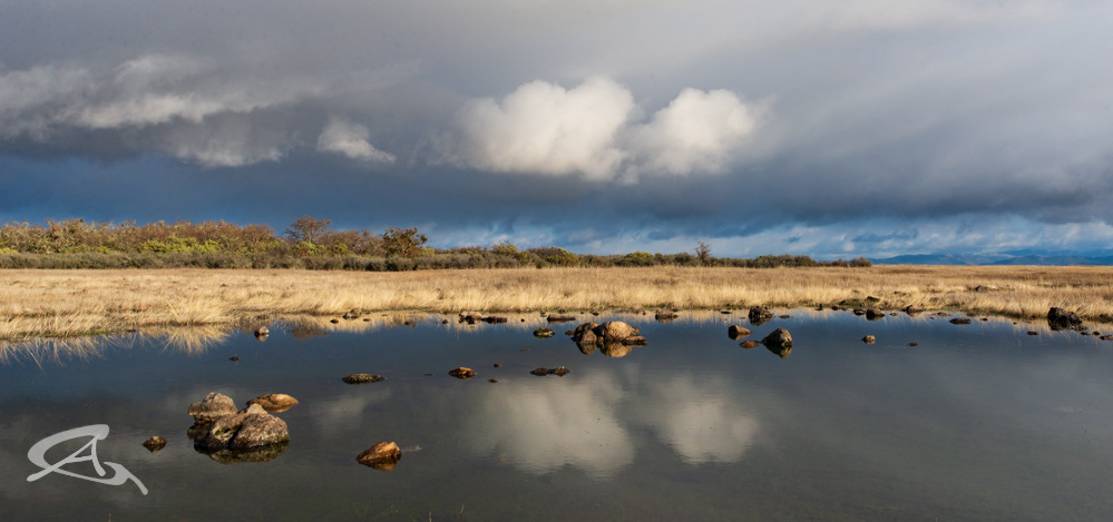 Table Rock Vernal Pool