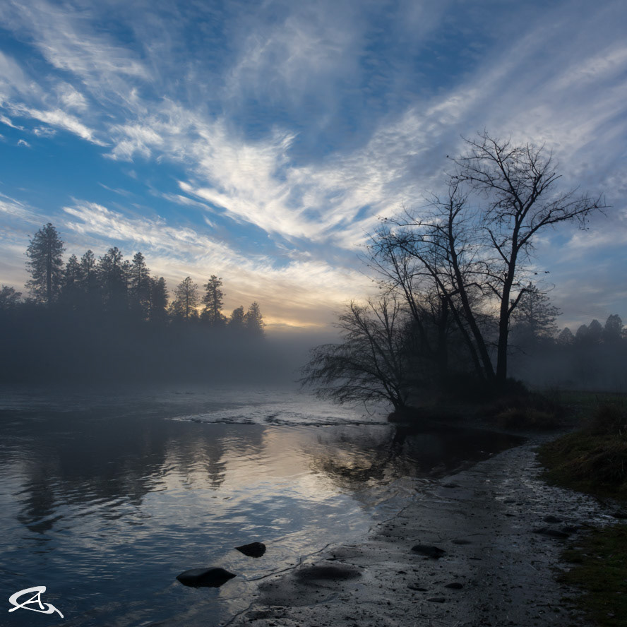 Shady Cove