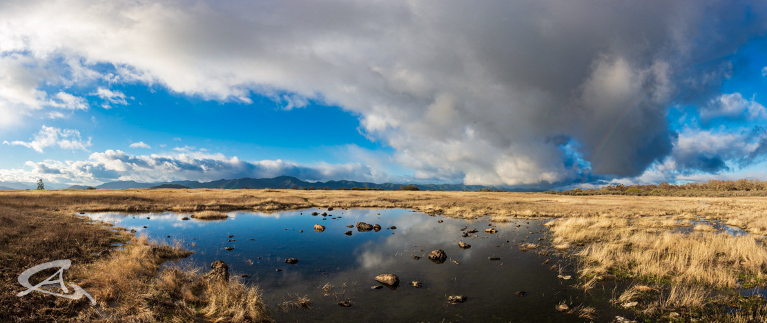 Table Rock Vernal Pool