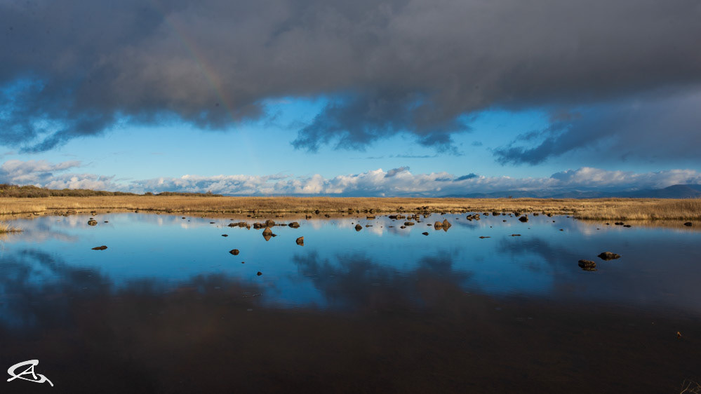 Vernal Pool at Table Rock