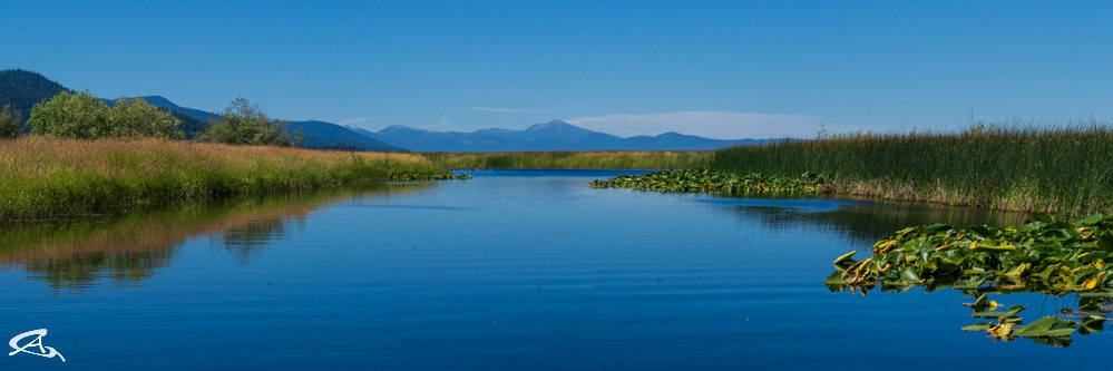 Malone Springs