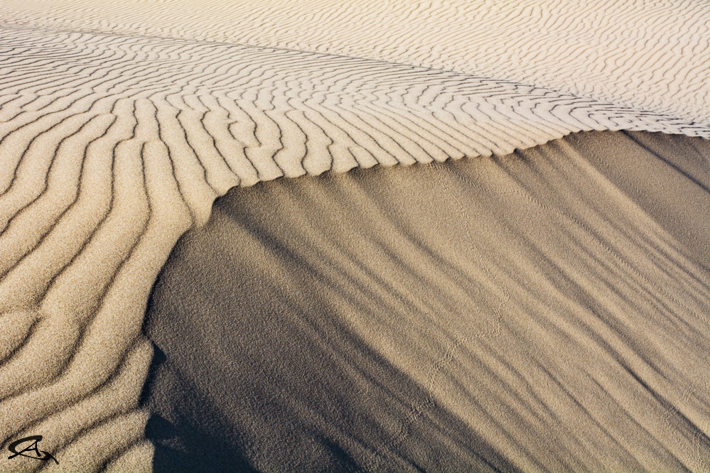 Dune