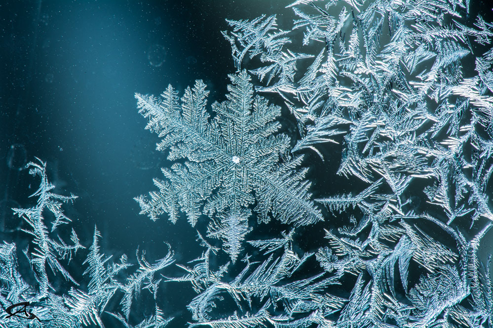 Frost
