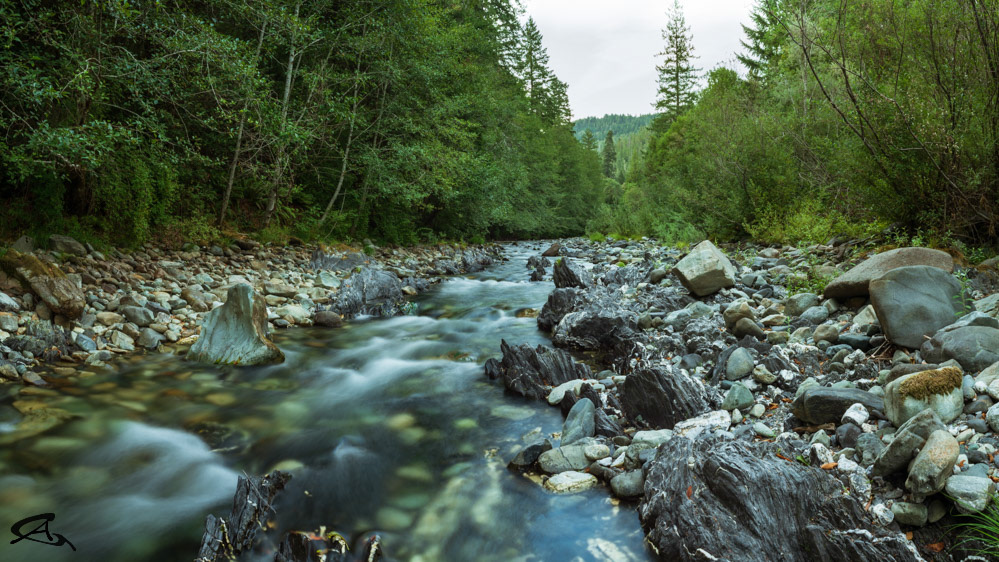 Lobster Creek