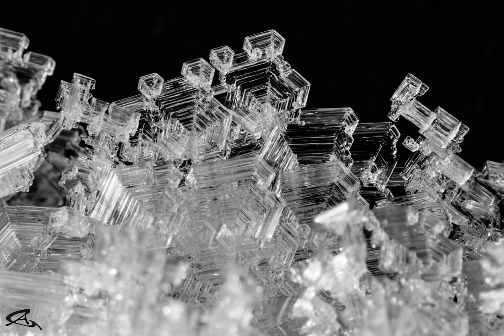 Hoar Crystals