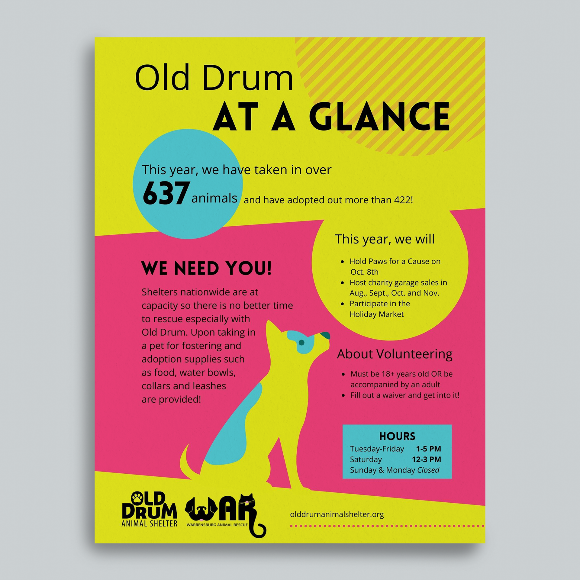 Overview Flyer