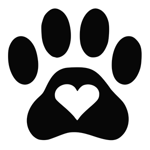 Happy Ever After Rescue Team Animal Rescue