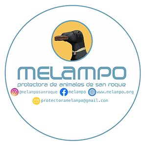 Melampo Dog Shelter