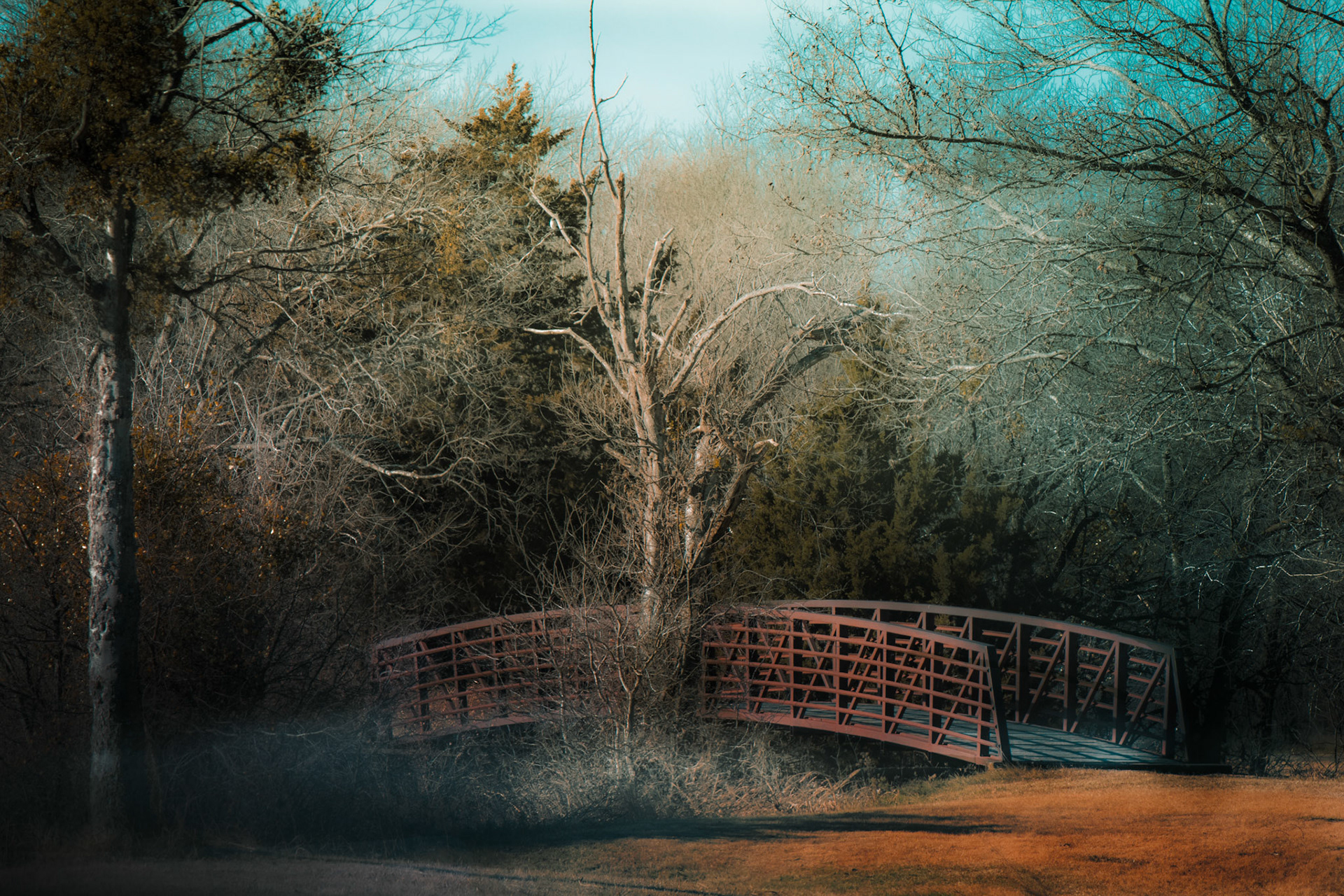 Kaufman Park