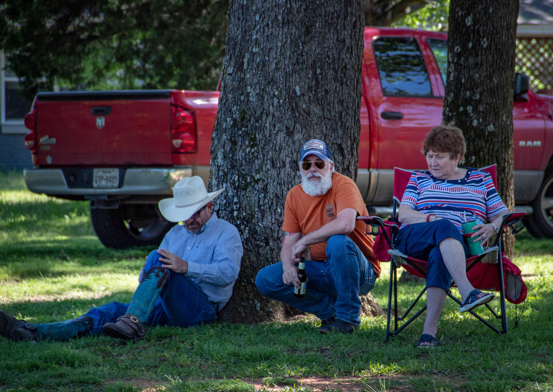 The Peanut Gallery