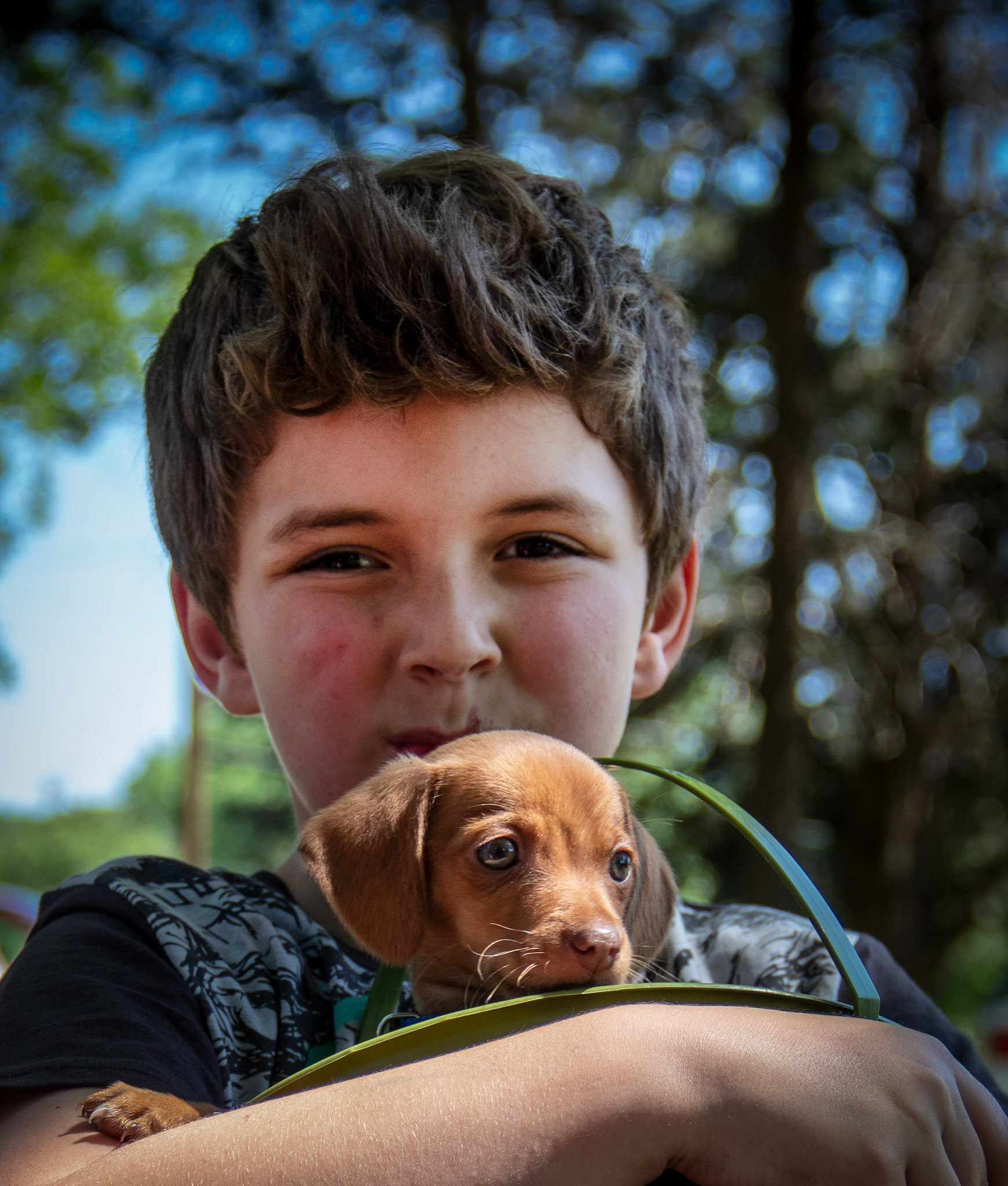 A Boy and His Dog