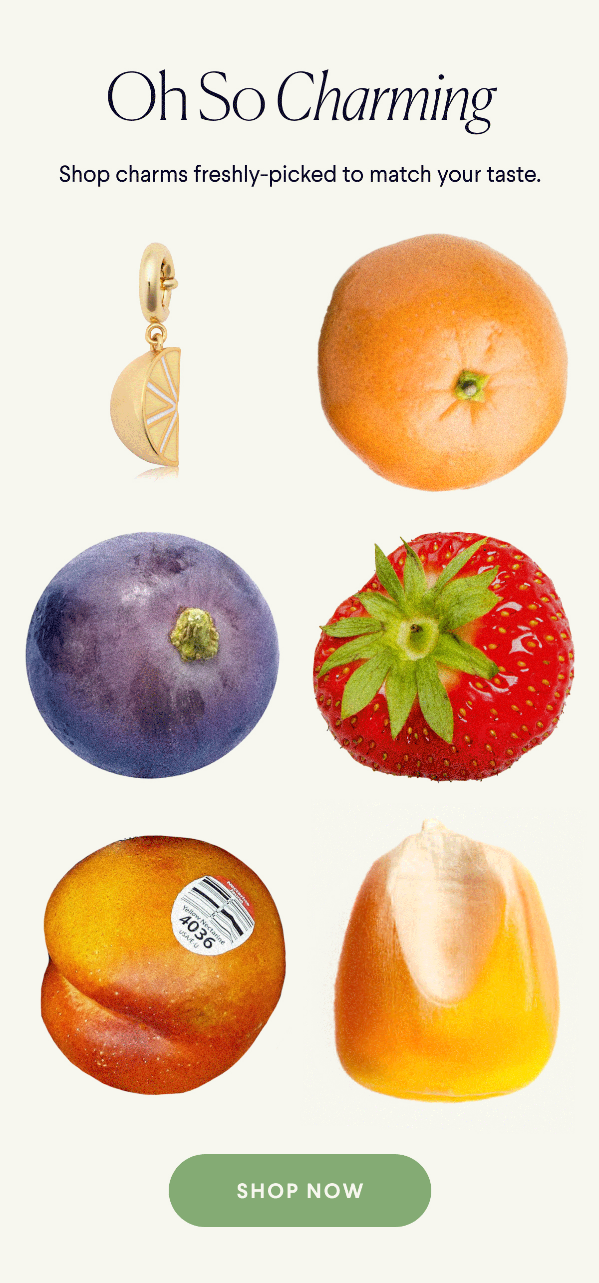 Farmer's Market - Launch Email
