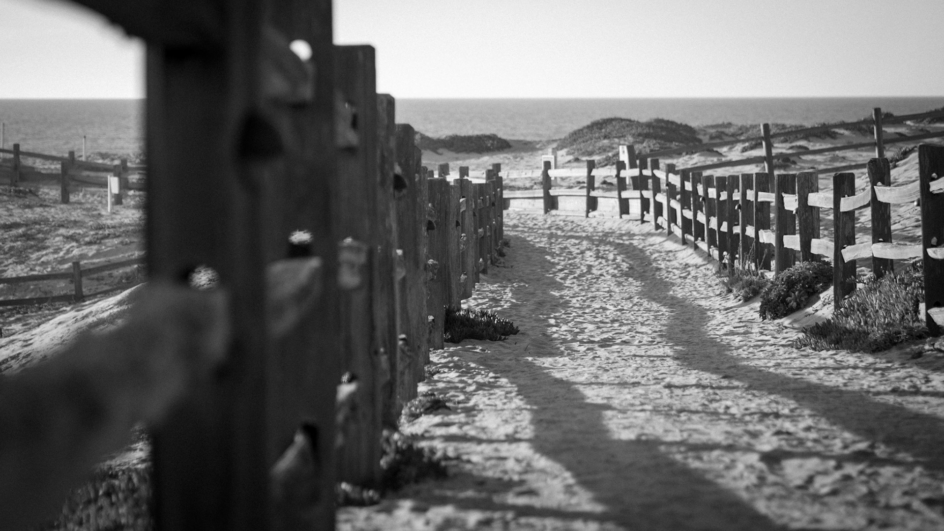 Trail leading down to the waterfront at Sanctuary Beach near Monterey, CA.