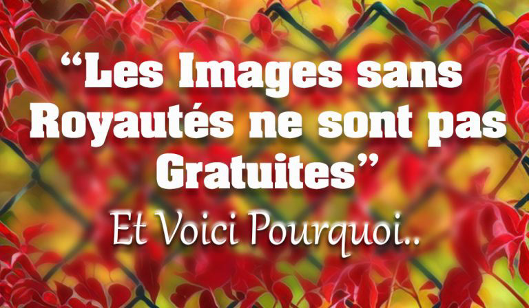 Ce que veut dire "Royalty-Free"