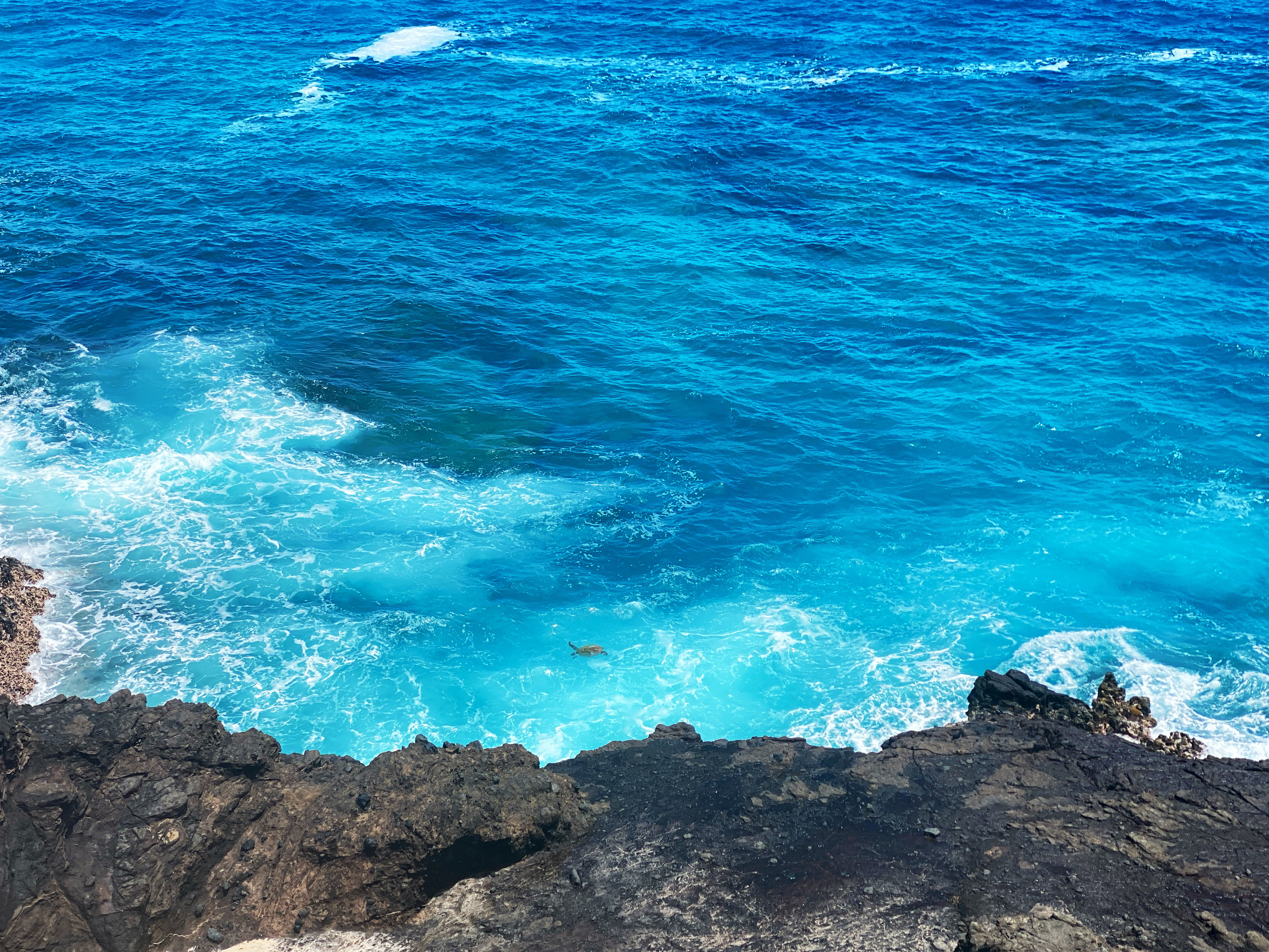 Halona Blowhole Lookout