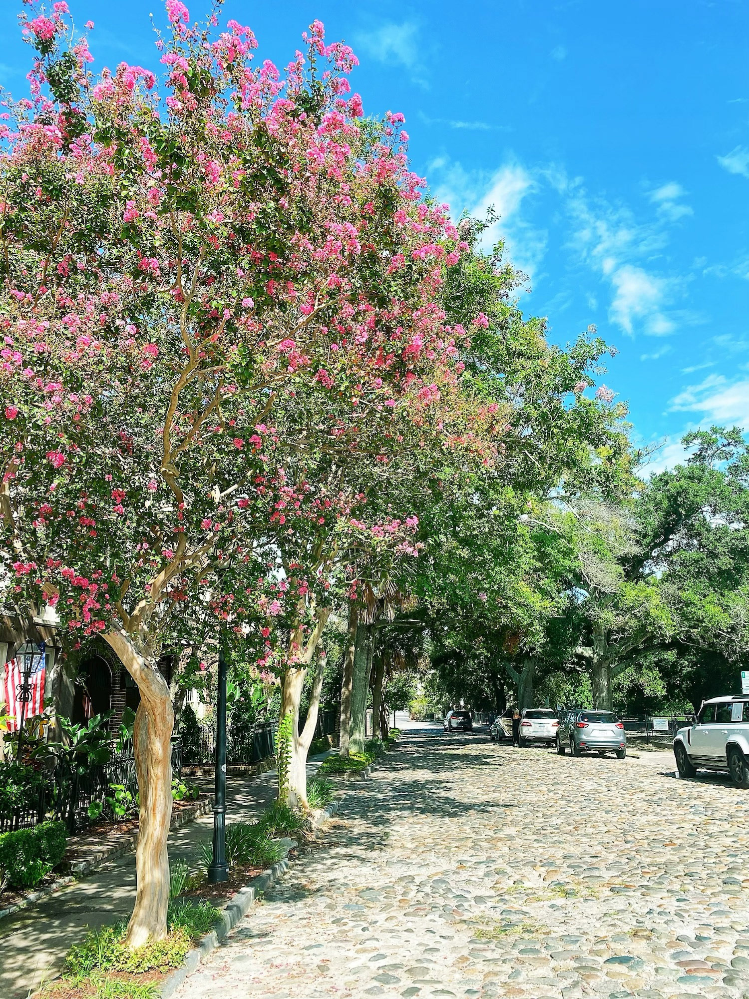 Cobblestone street, Rainbow Row, Charleston 
