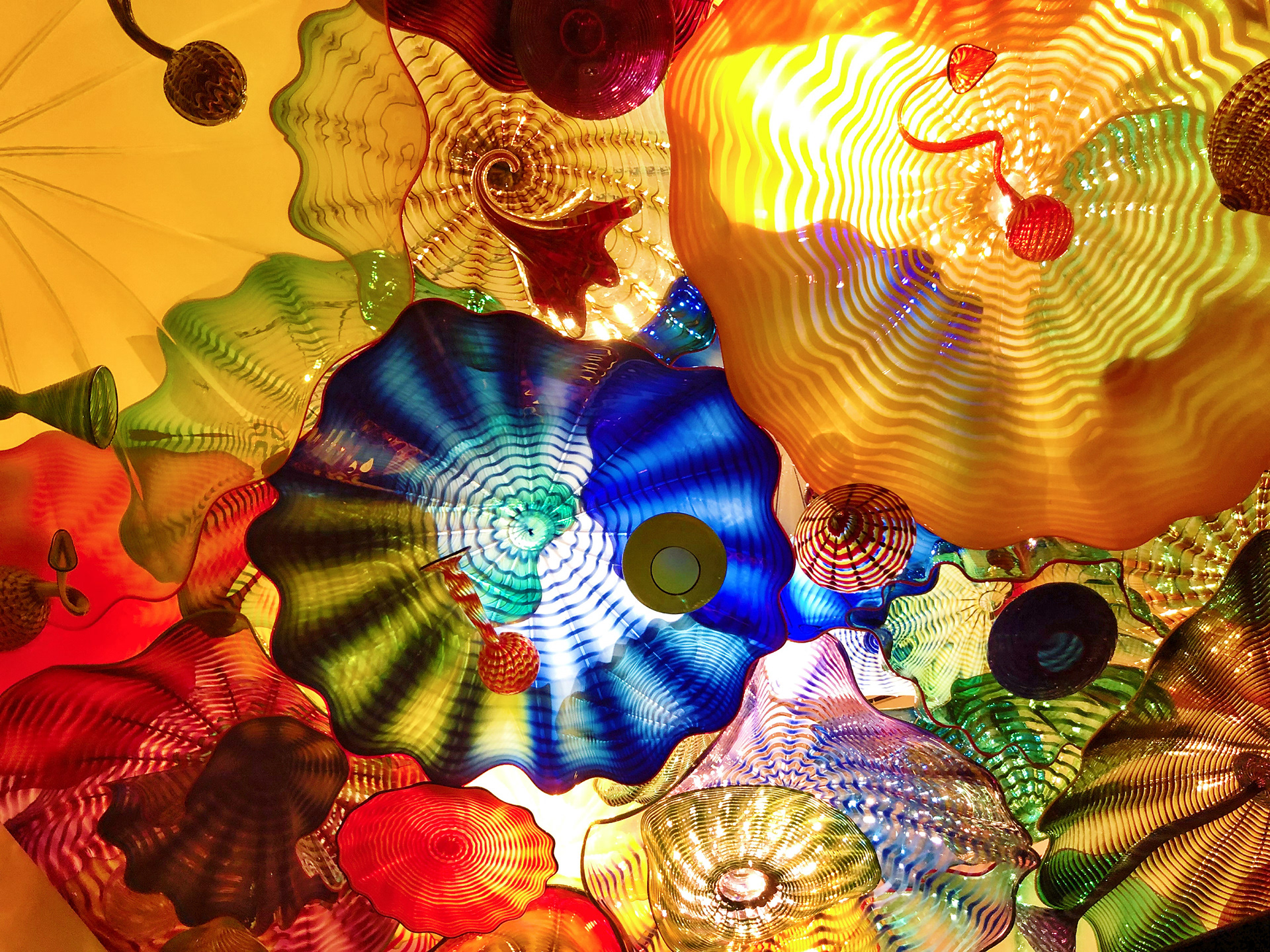 In Chihuly Garden and Glass