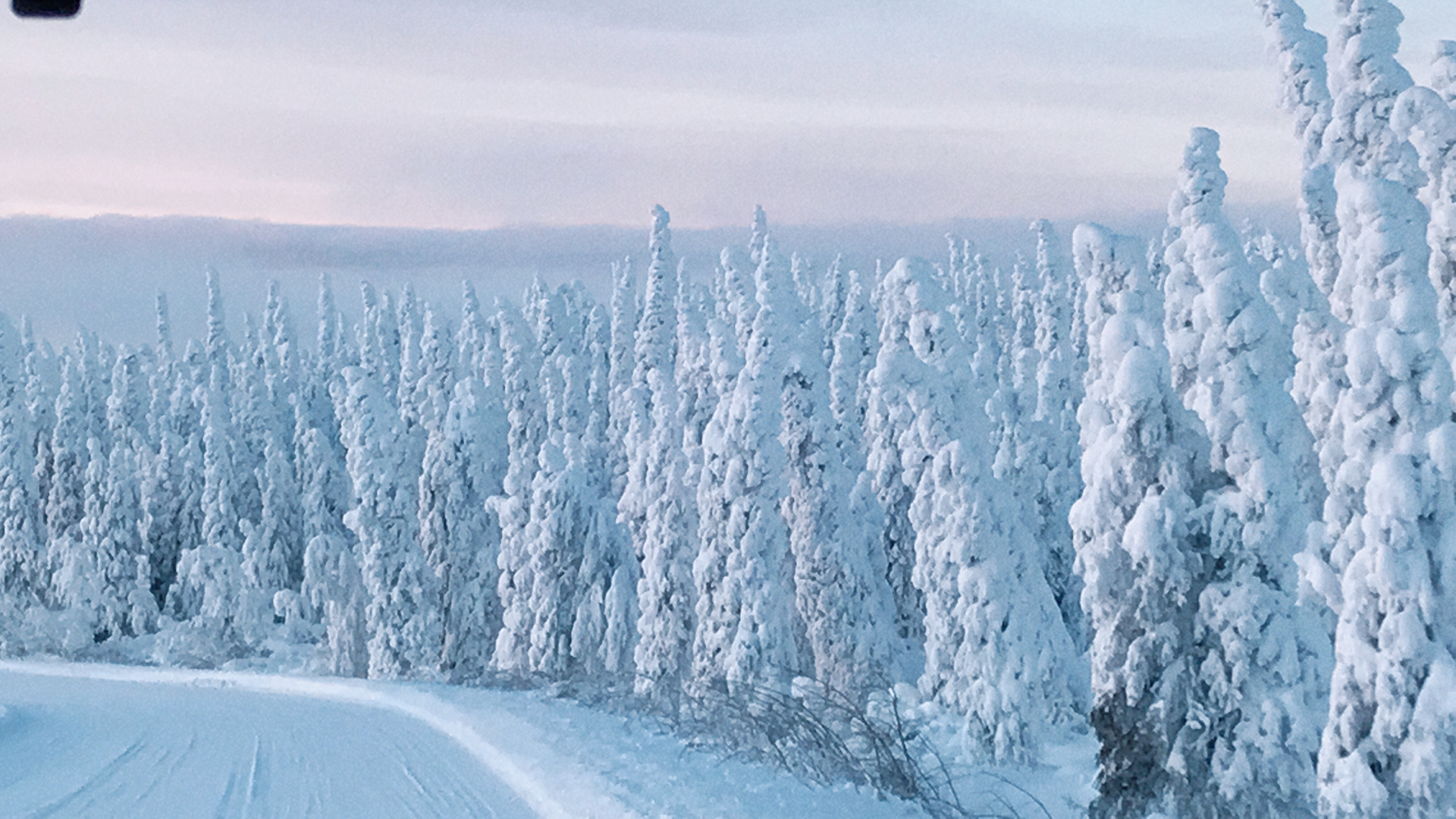 On the way to Arctic Circle