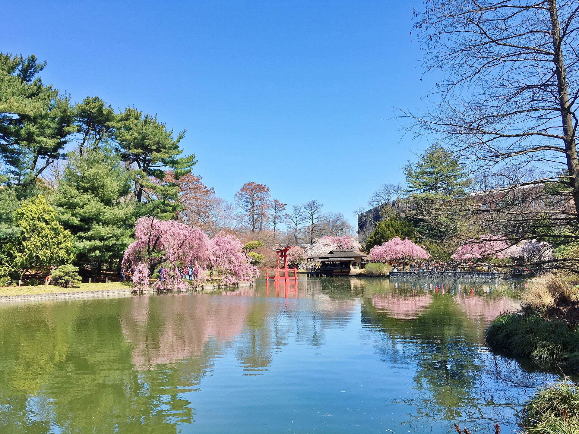 Brooklyn Botanic Garden