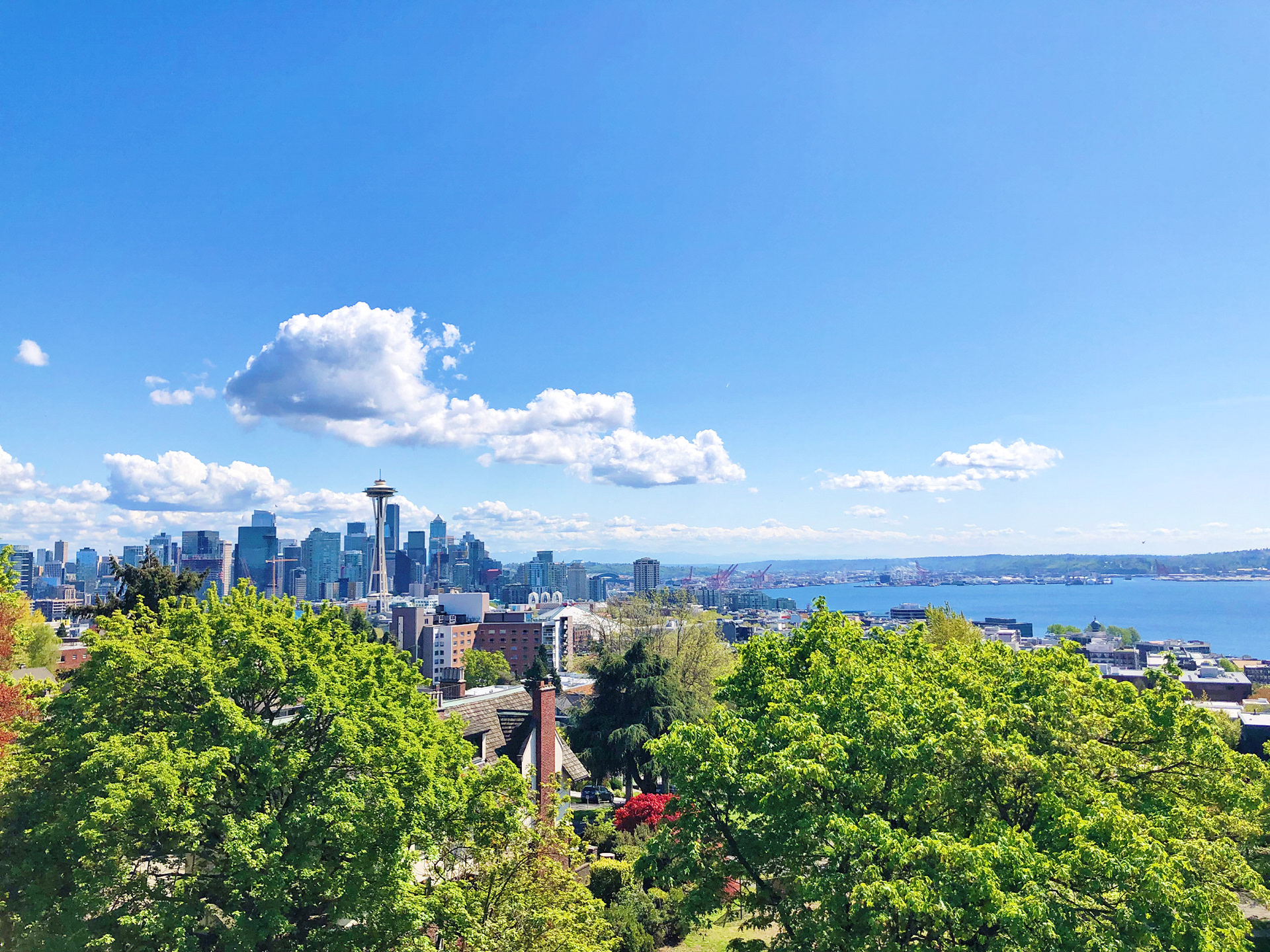 View from Kerry Park
