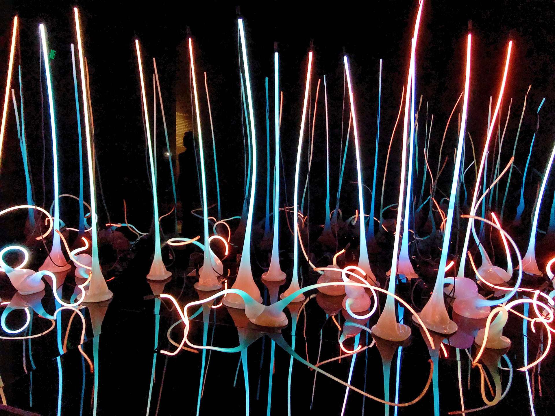 In Chihuly Garden and Glass